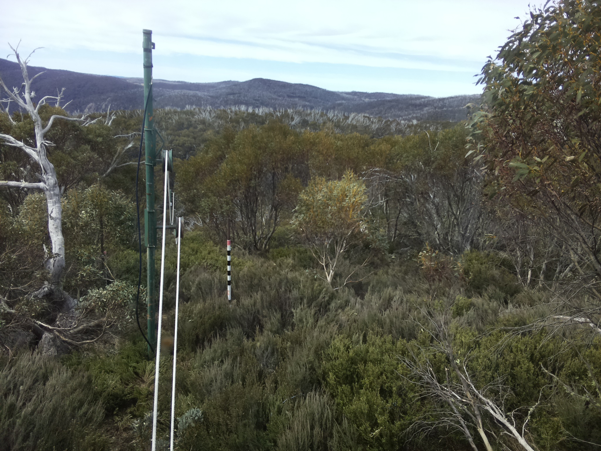 Bogong Web Cam 11:10am Tuesday 21st of October 2025