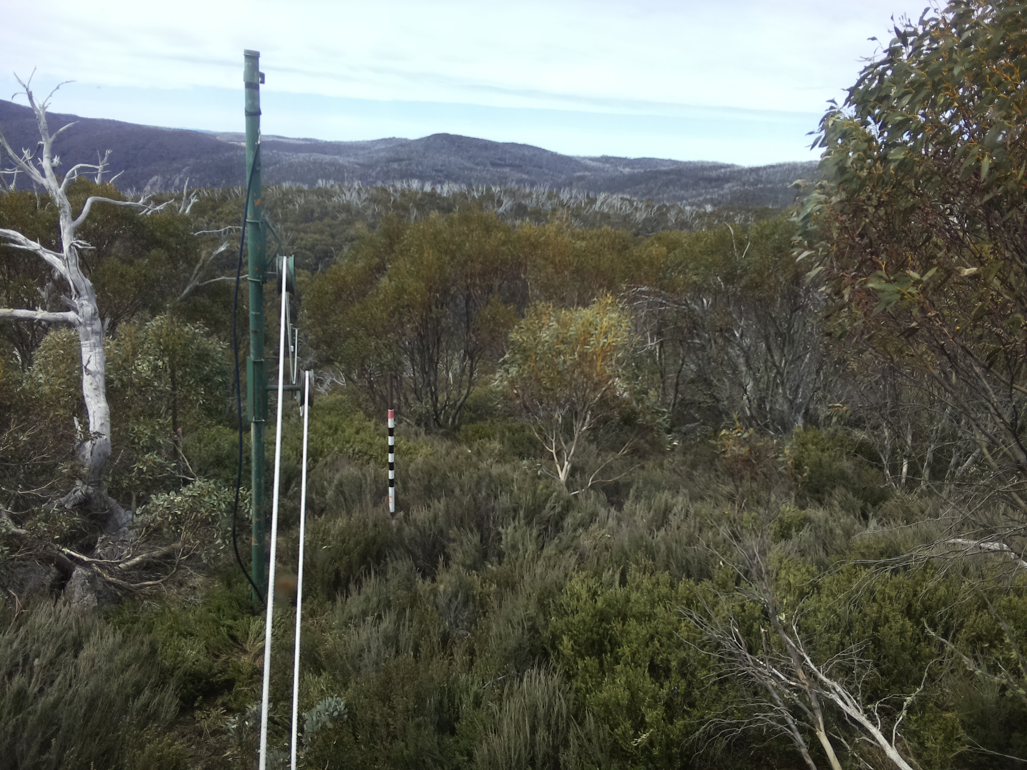 Bogong Web Cam 11:20am Tuesday 21st of October 2025