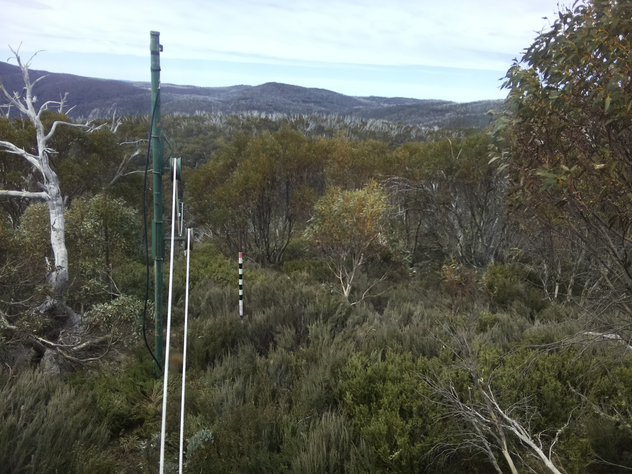 Bogong Web Cam 11:30am Tuesday 21st of October 2025
