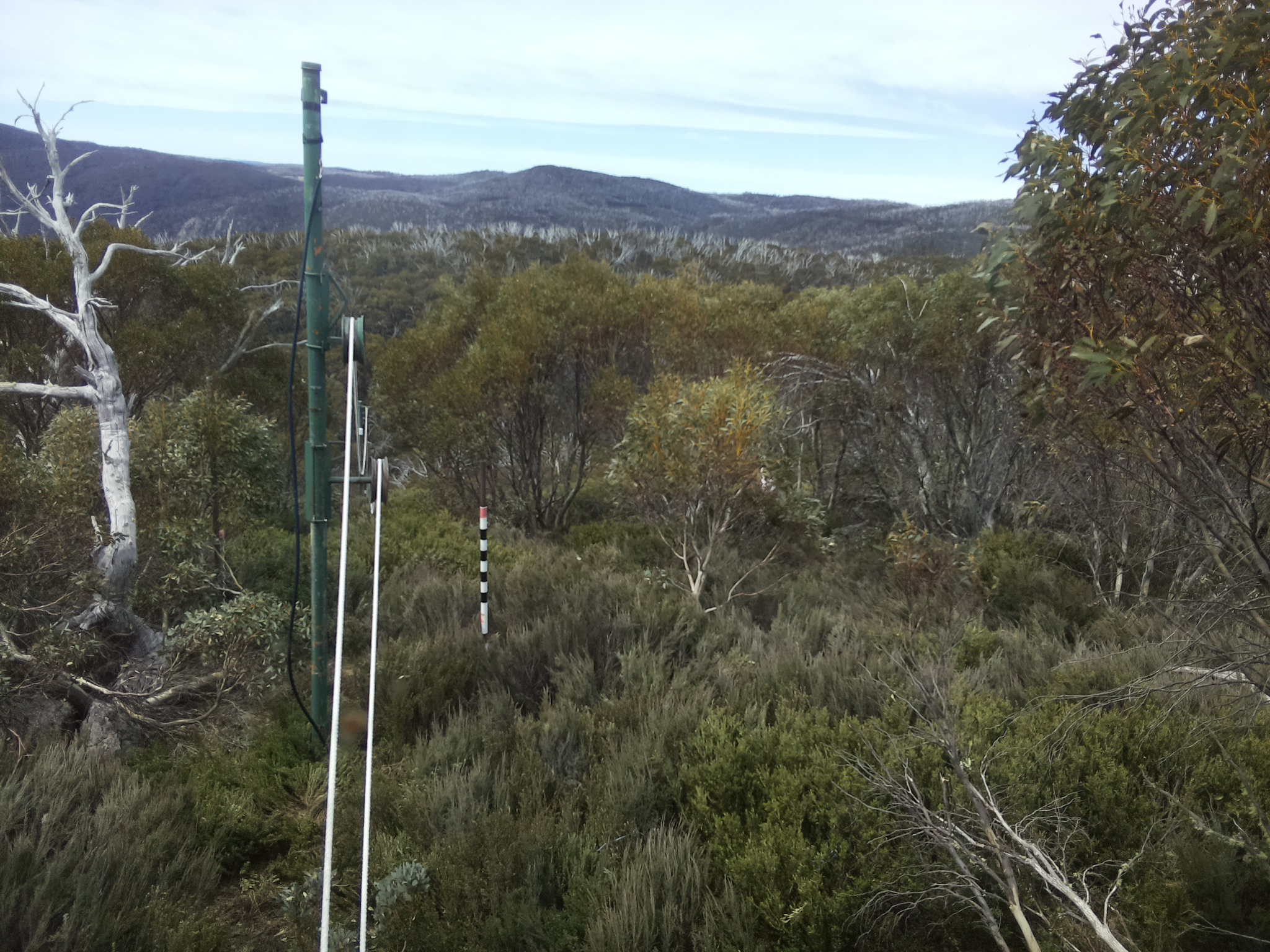 Bogong Web Cam 11:40am Tuesday 21st of October 2025