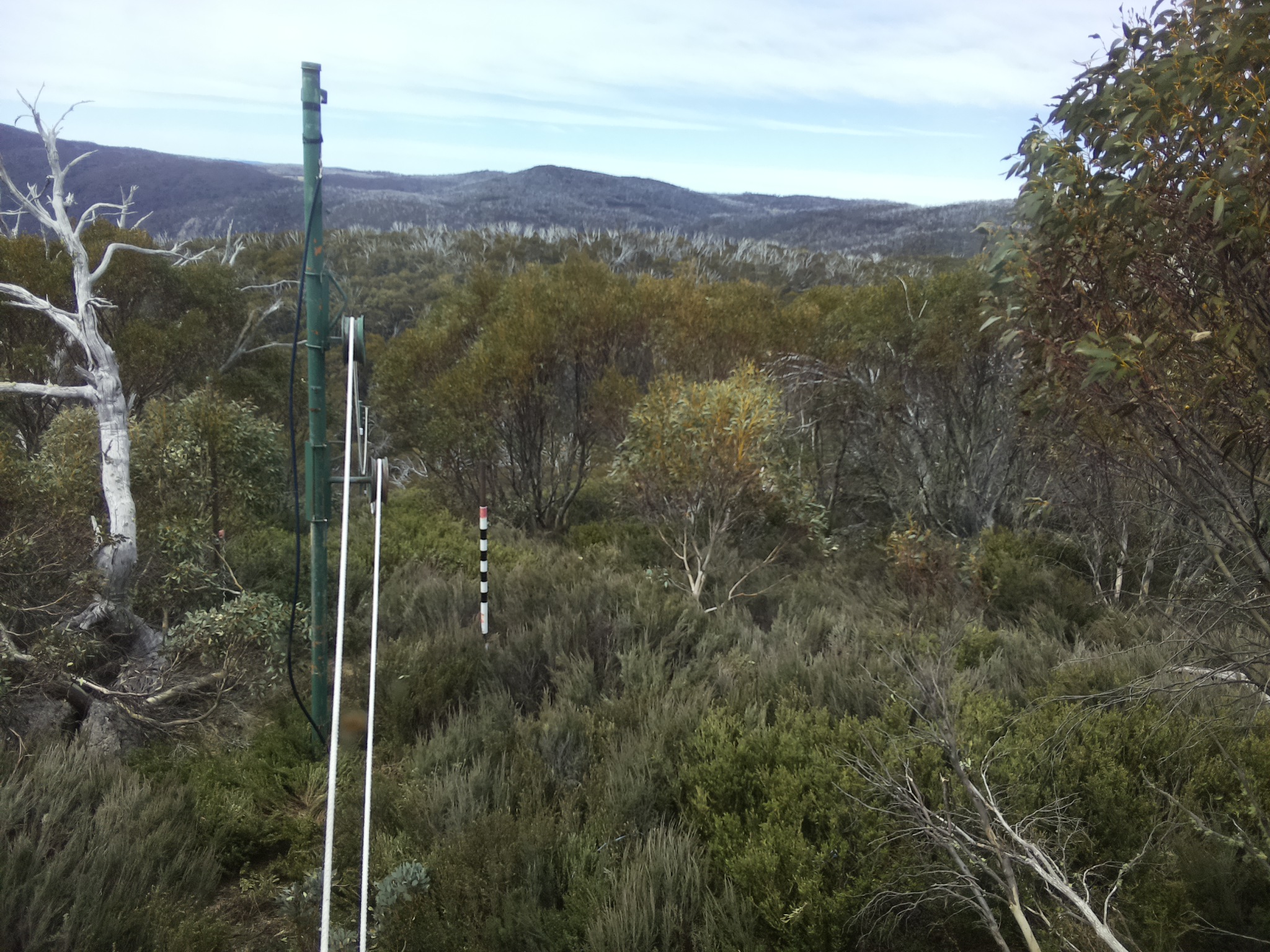 Bogong Web Cam 11:50am Tuesday 21st of October 2025
