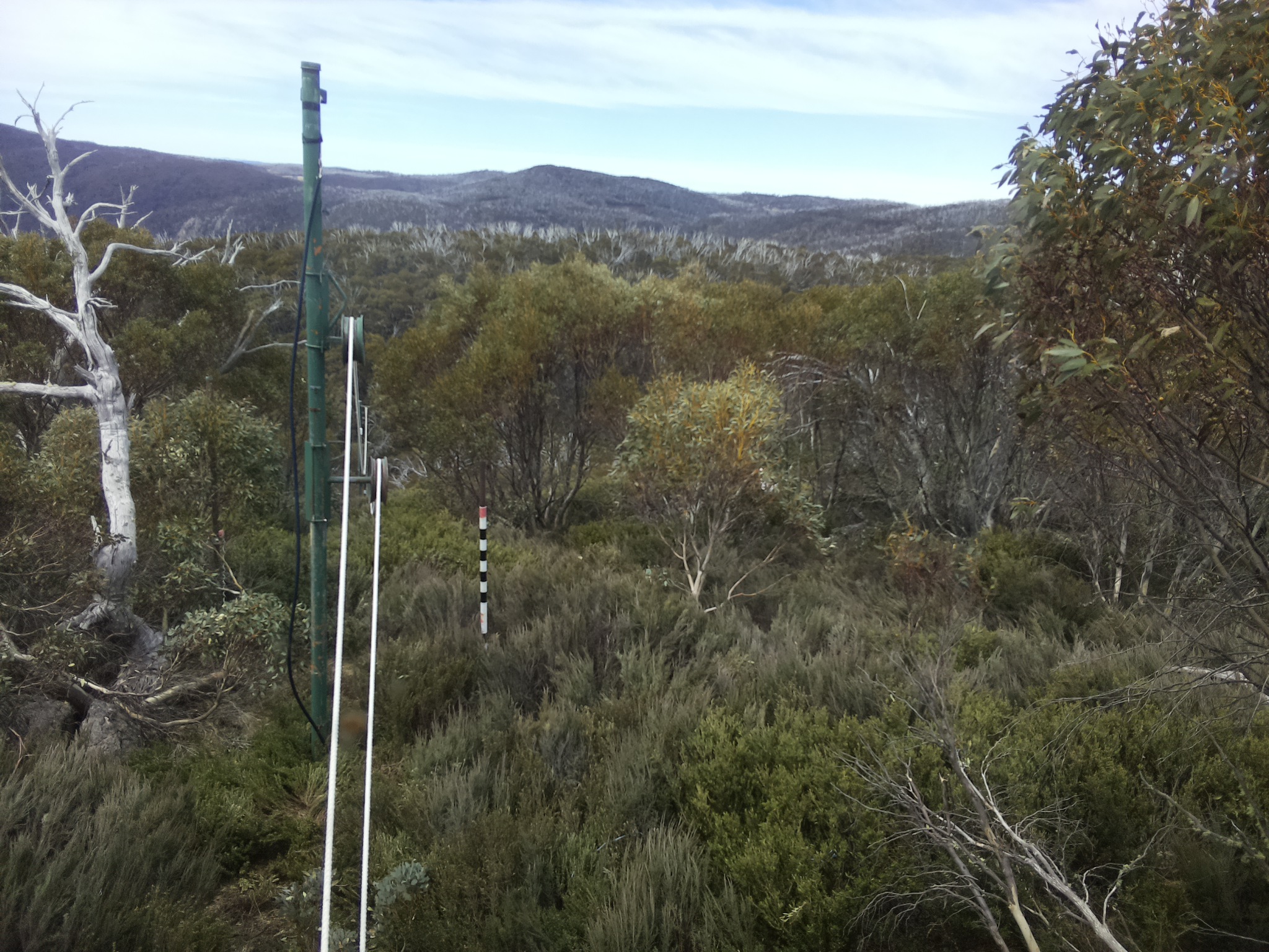Bogong Web Cam 12:10pm Tuesday 21st of October 2025