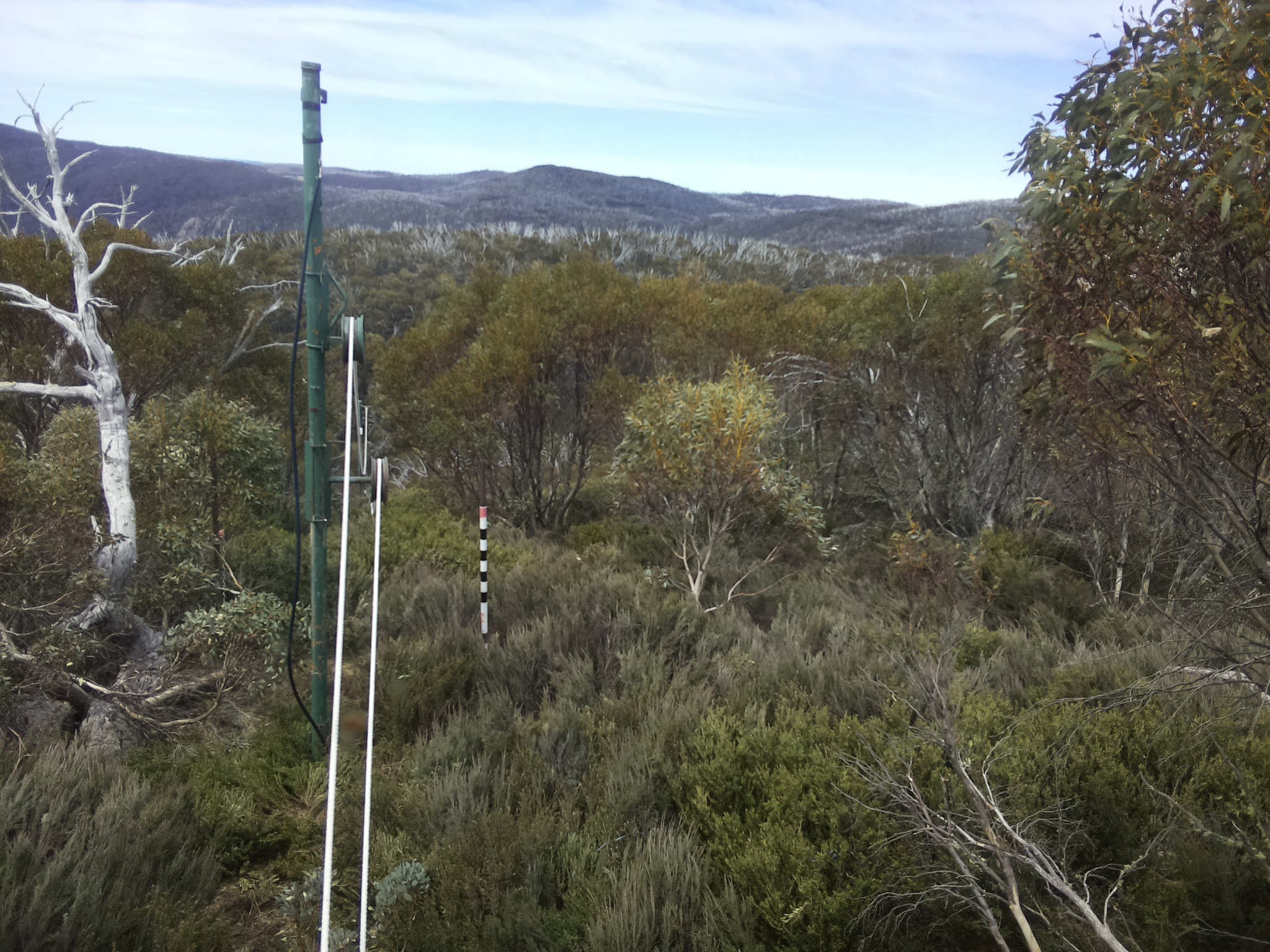 Bogong Web Cam 12:20pm Tuesday 21st of October 2025