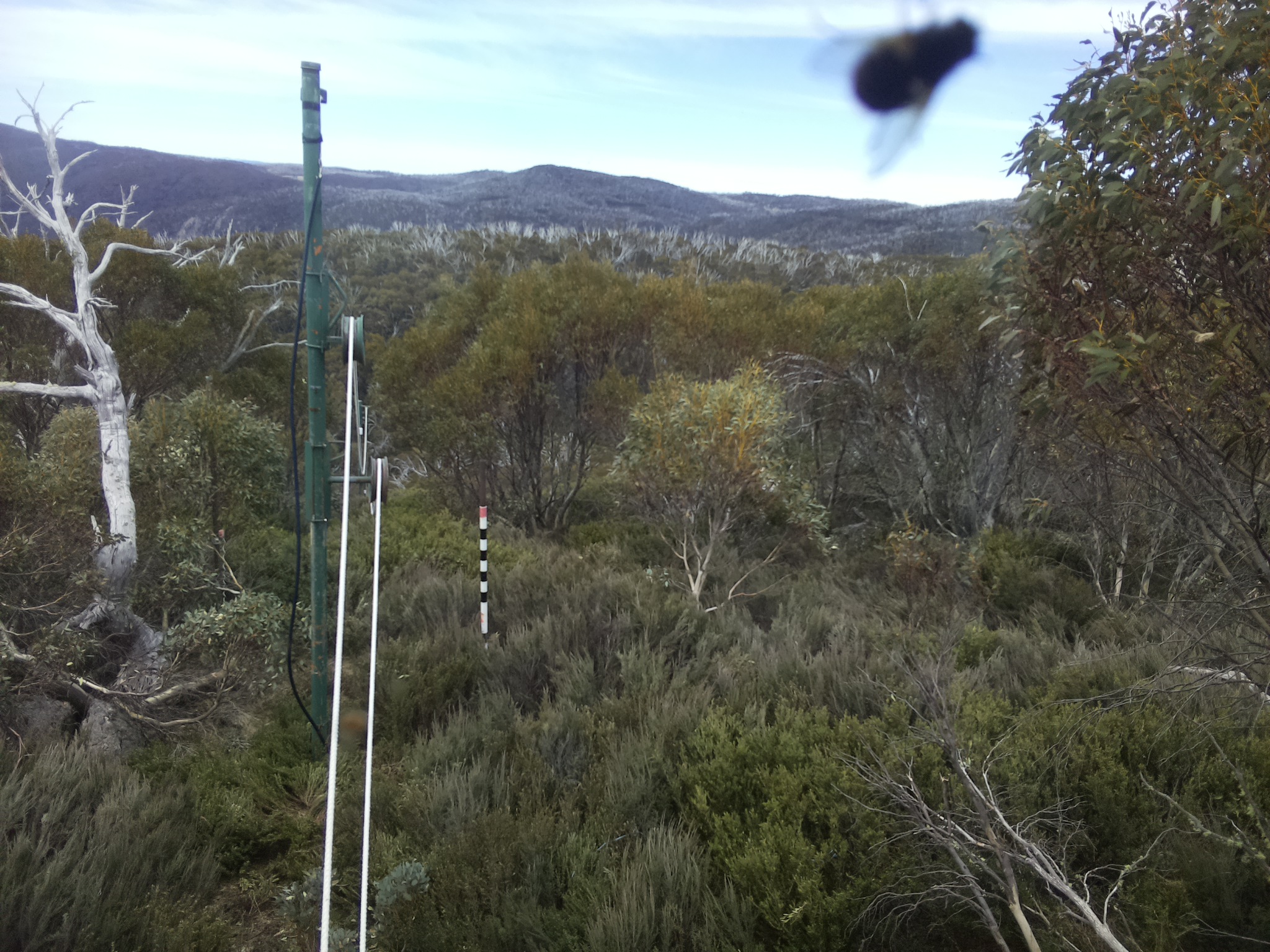 Bogong Web Cam 12:30pm Tuesday 21st of October 2025