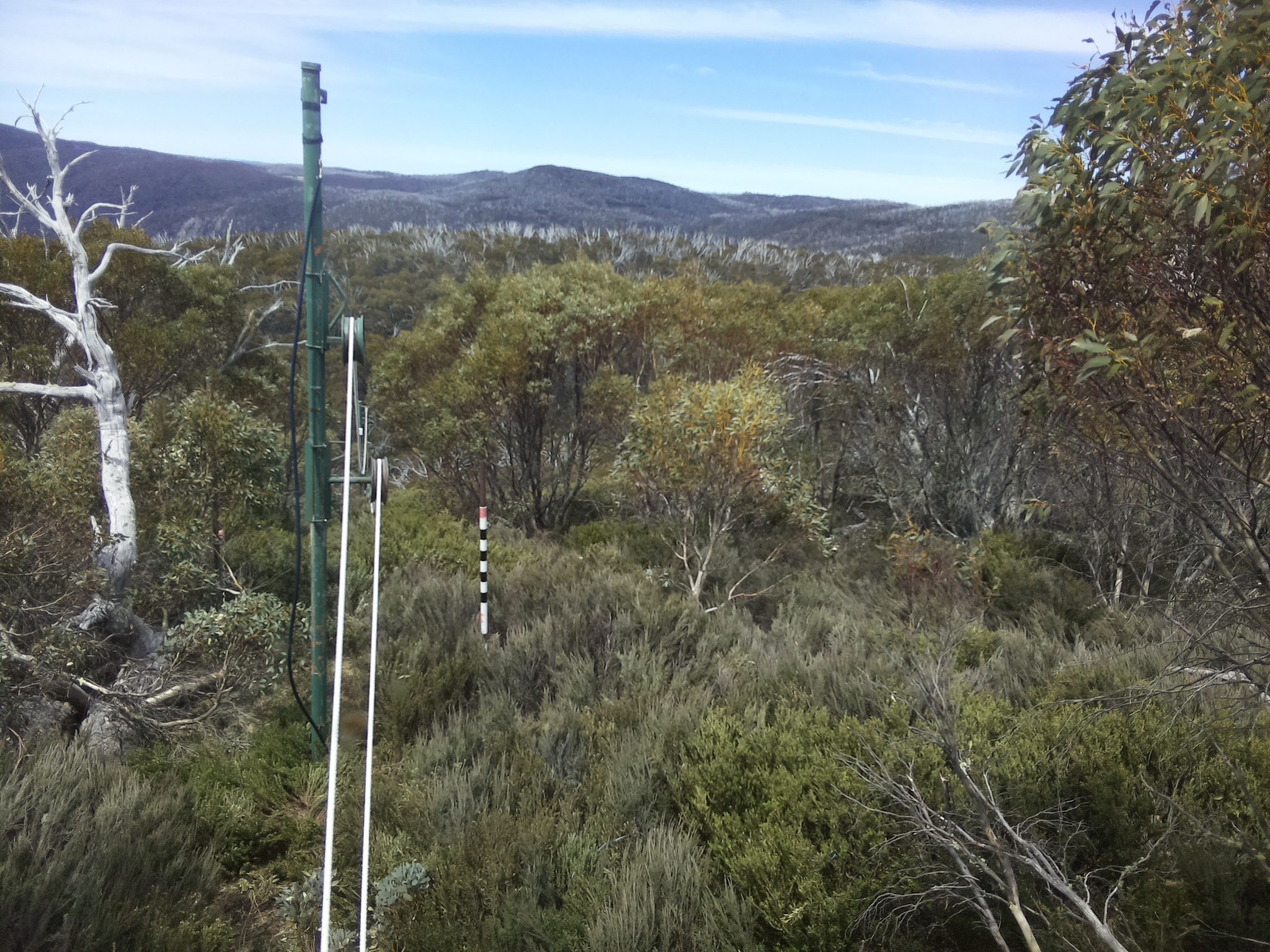 Bogong Web Cam 12:40pm Tuesday 21st of October 2025