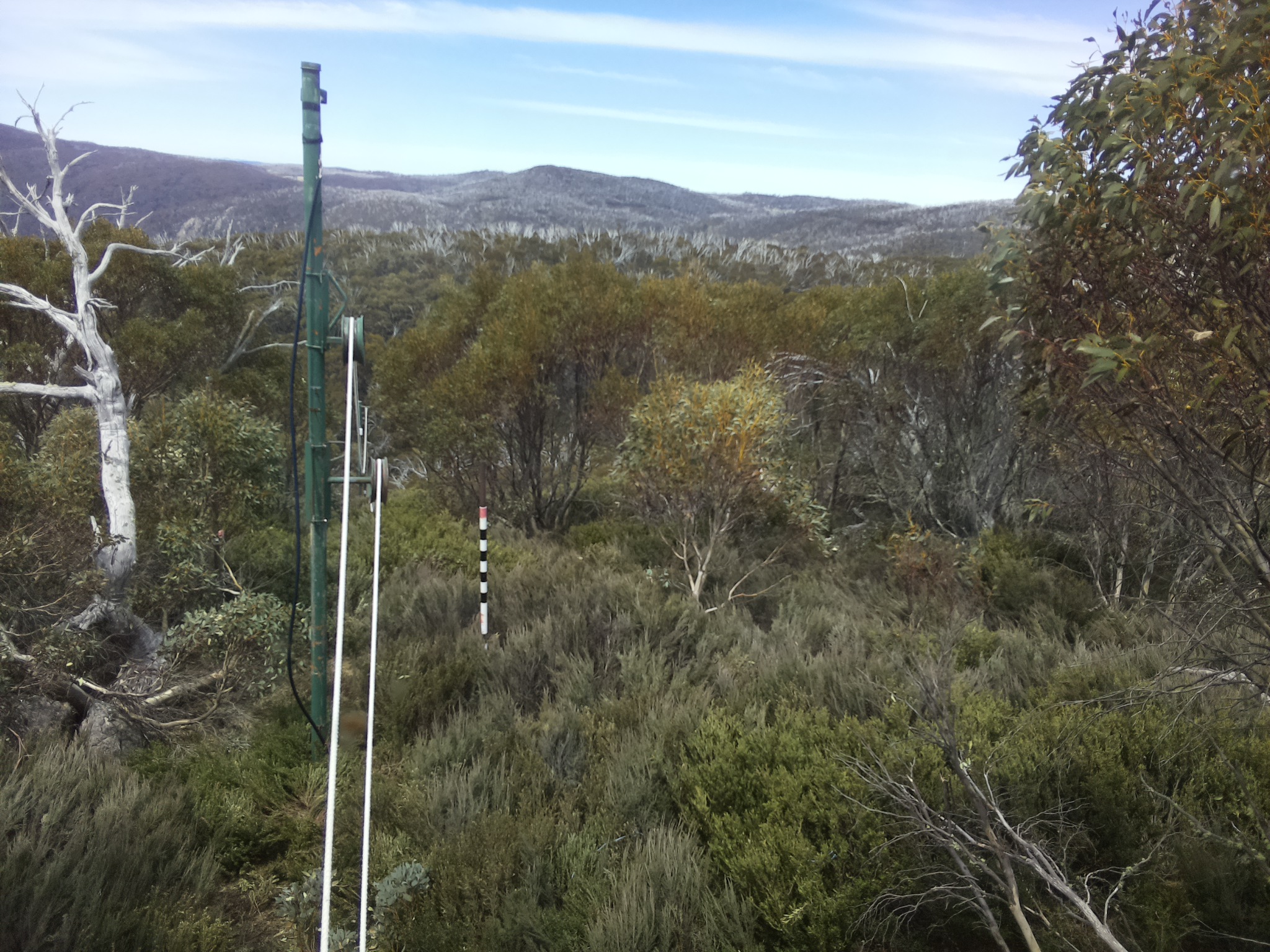 Bogong Web Cam 12:50pm Tuesday 21st of October 2025