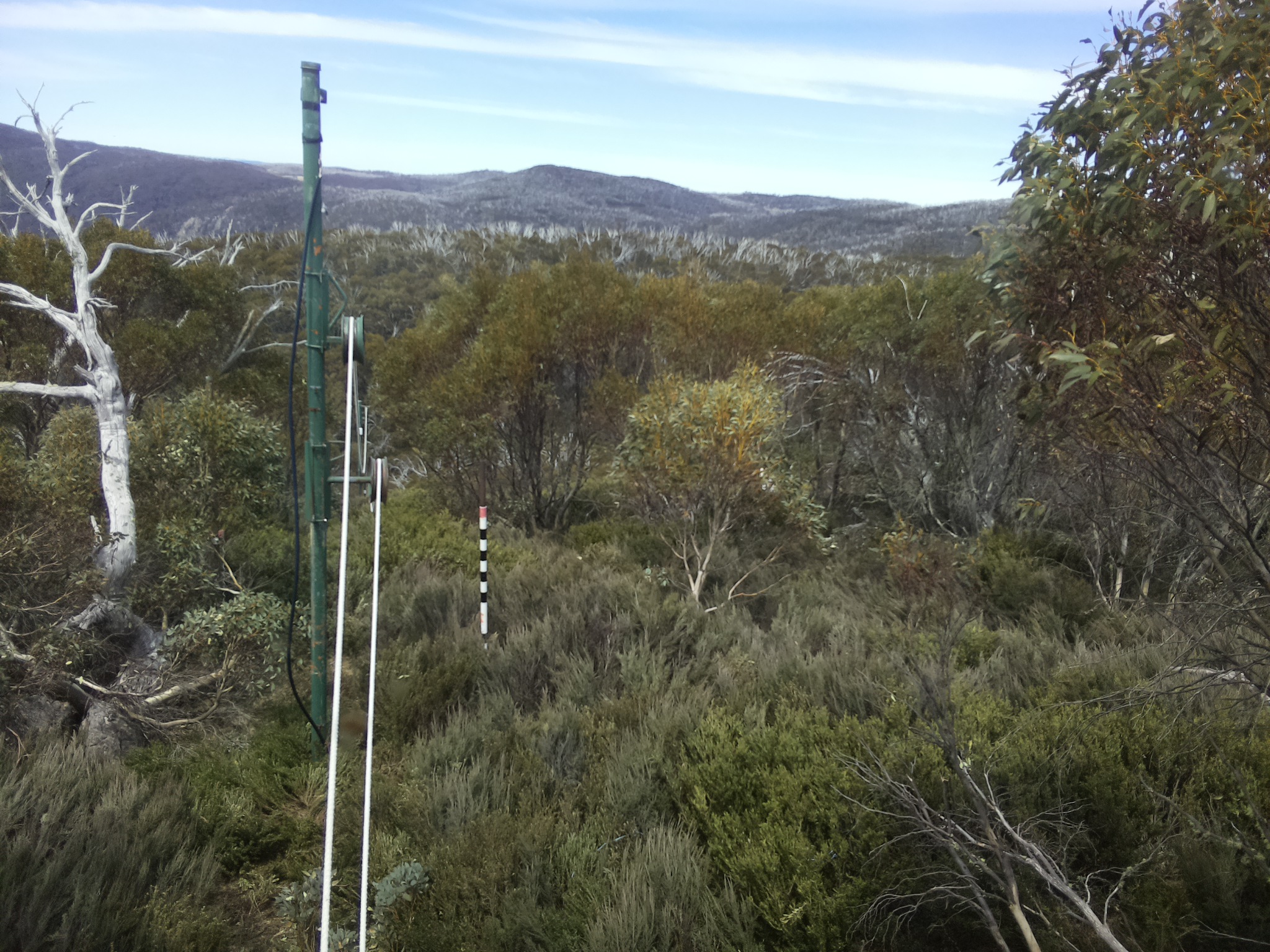 Bogong Web Cam 1:00pm Tuesday 21st of October 2025