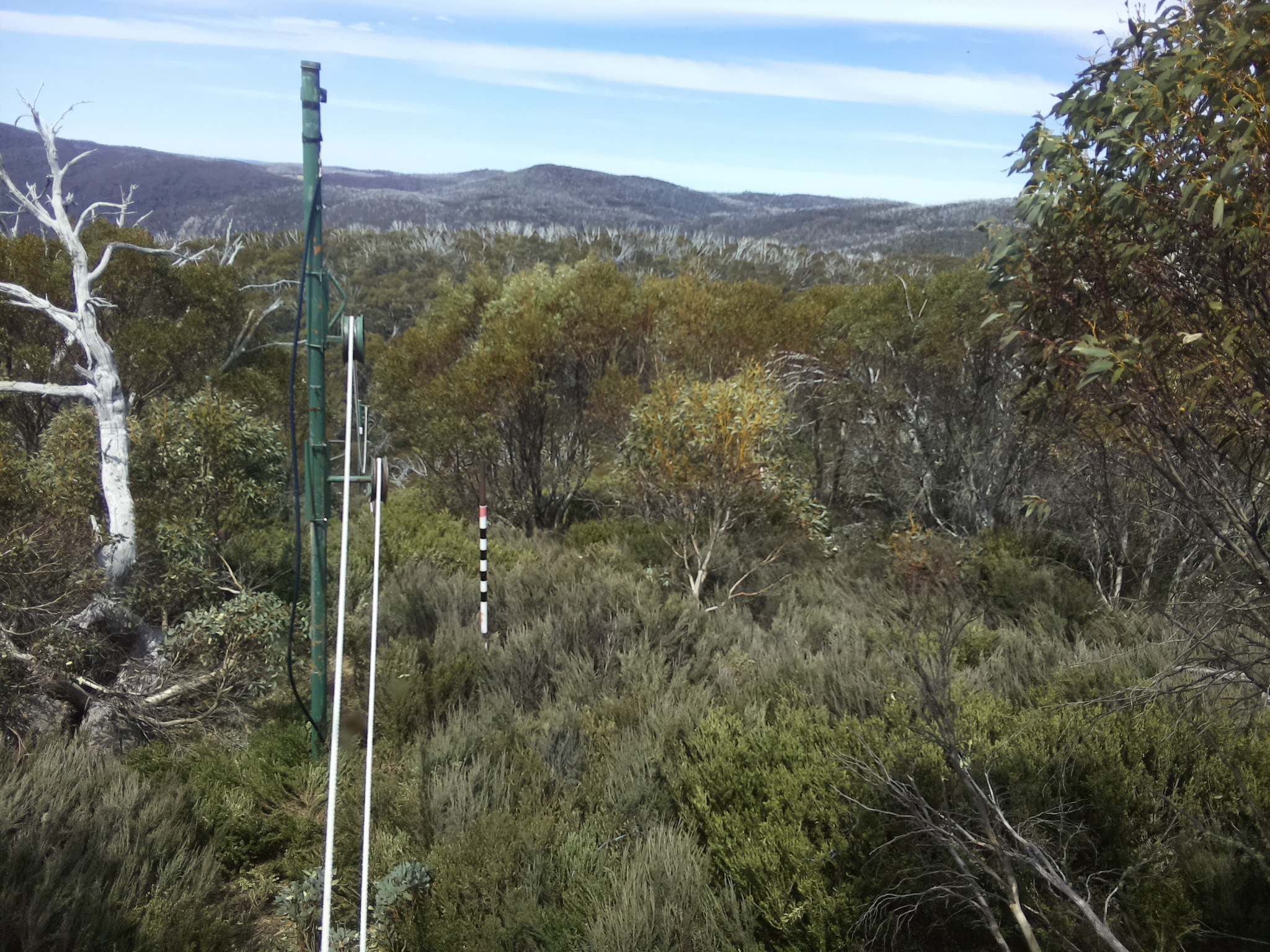 Bogong Web Cam 1:10pm Tuesday 21st of October 2025
