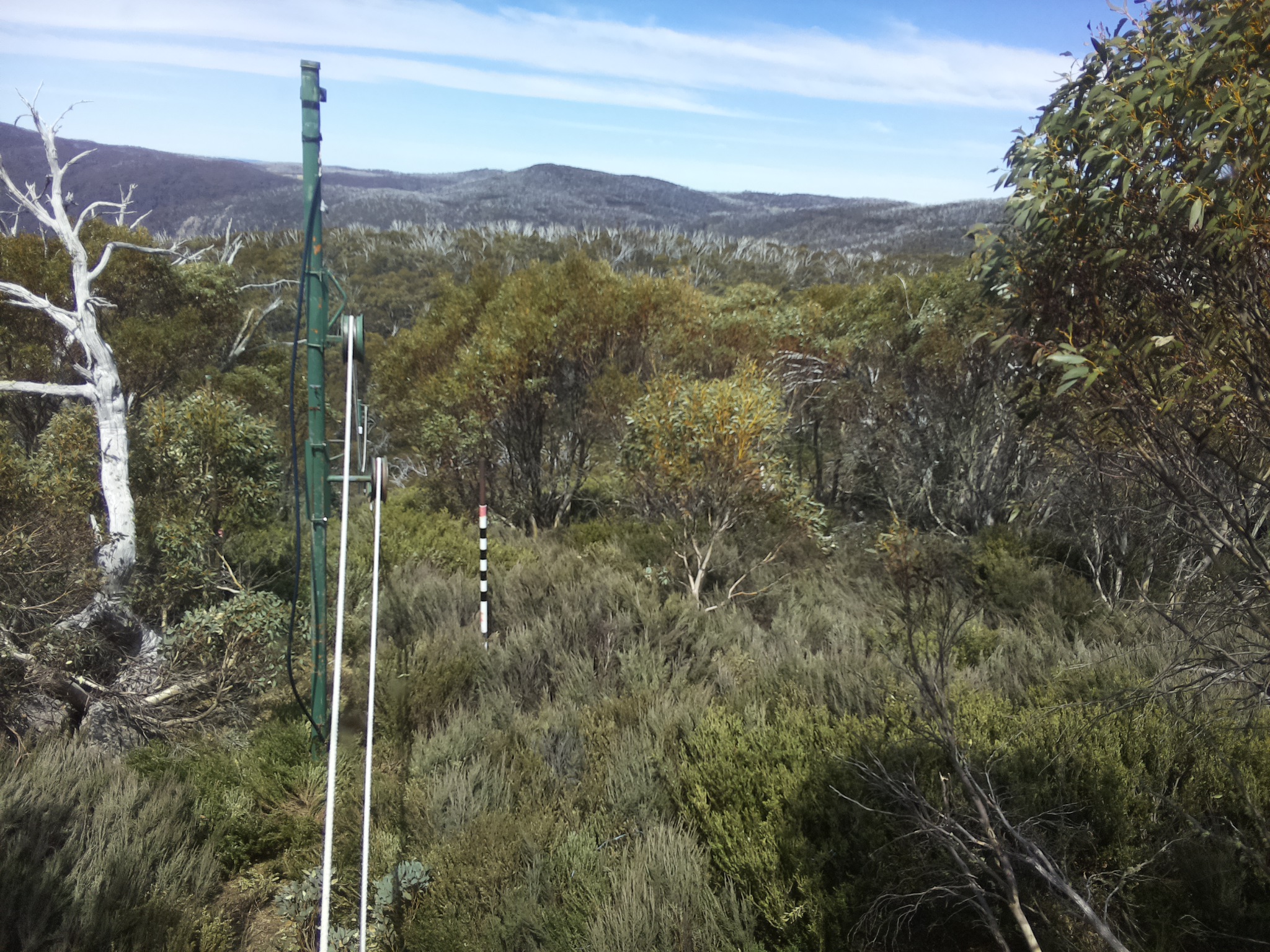 Bogong Web Cam 1:30pm Tuesday 21st of October 2025