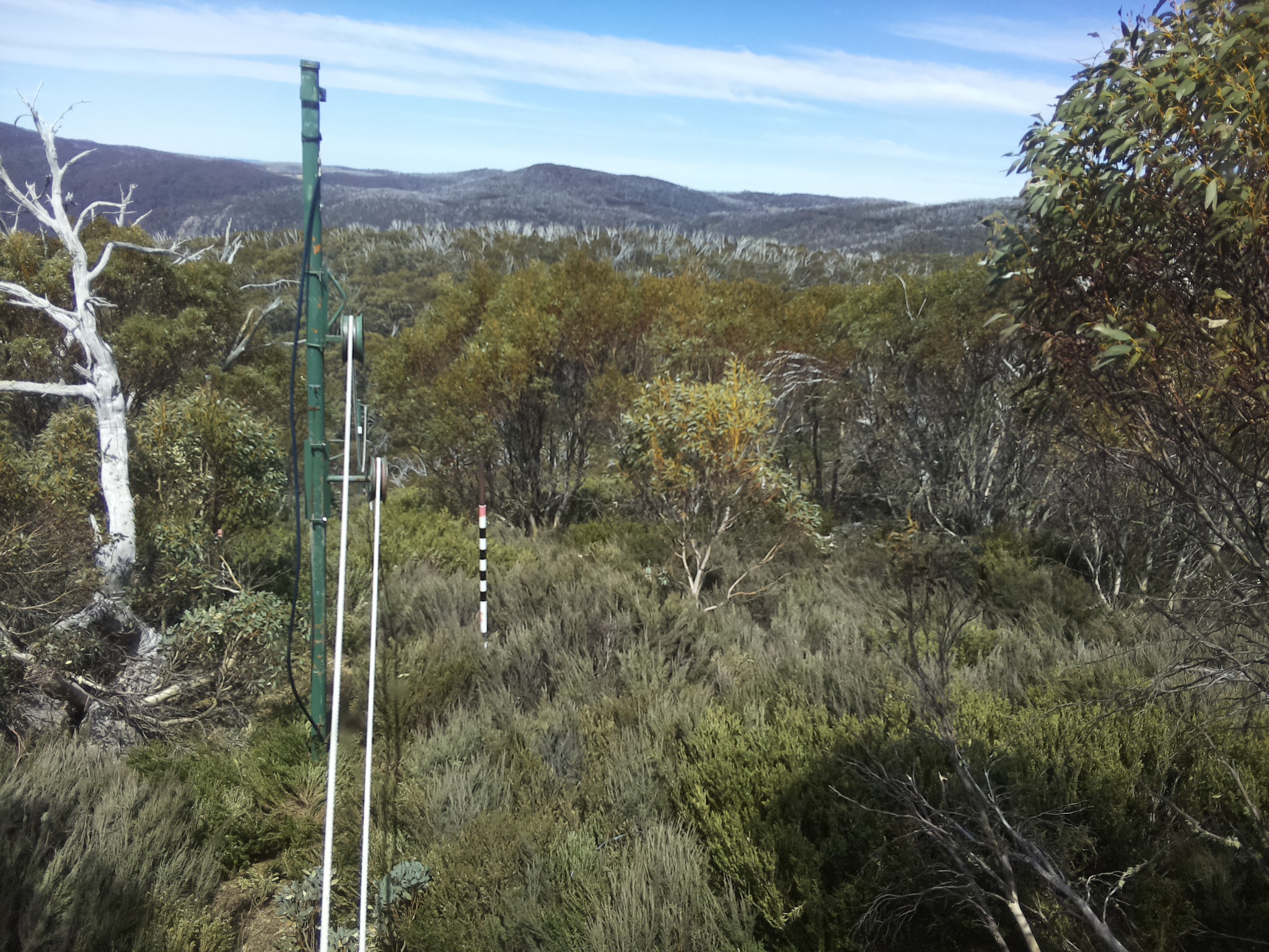 Bogong Web Cam 1:40pm Tuesday 21st of October 2025