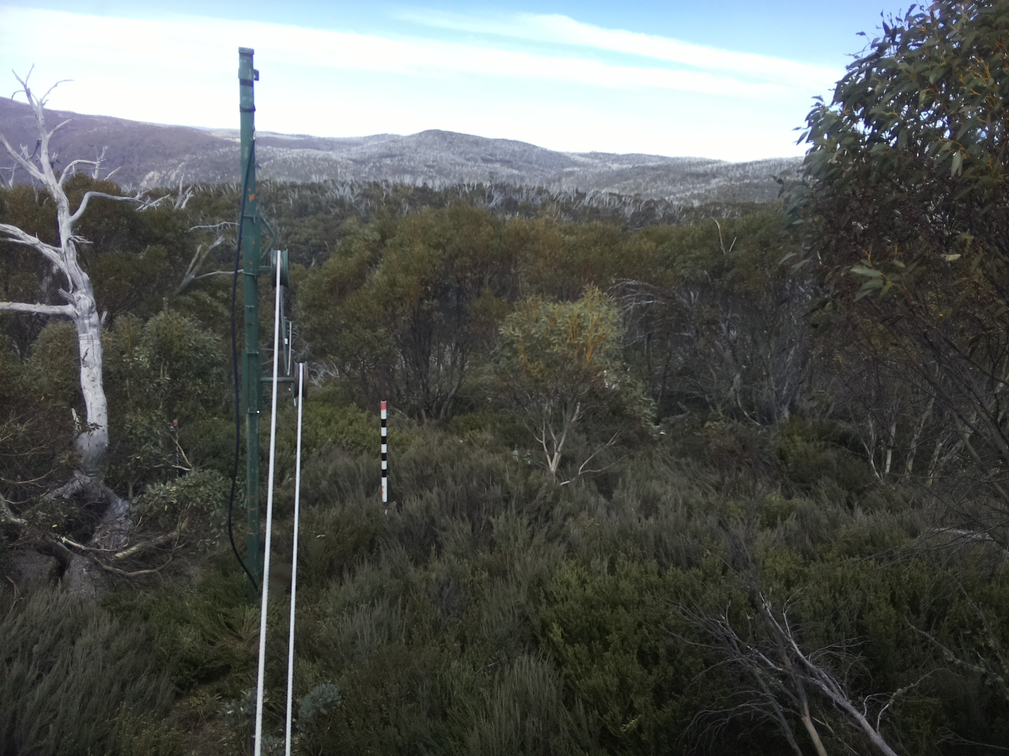 Bogong Web Cam 1:50pm Tuesday 21st of October 2025