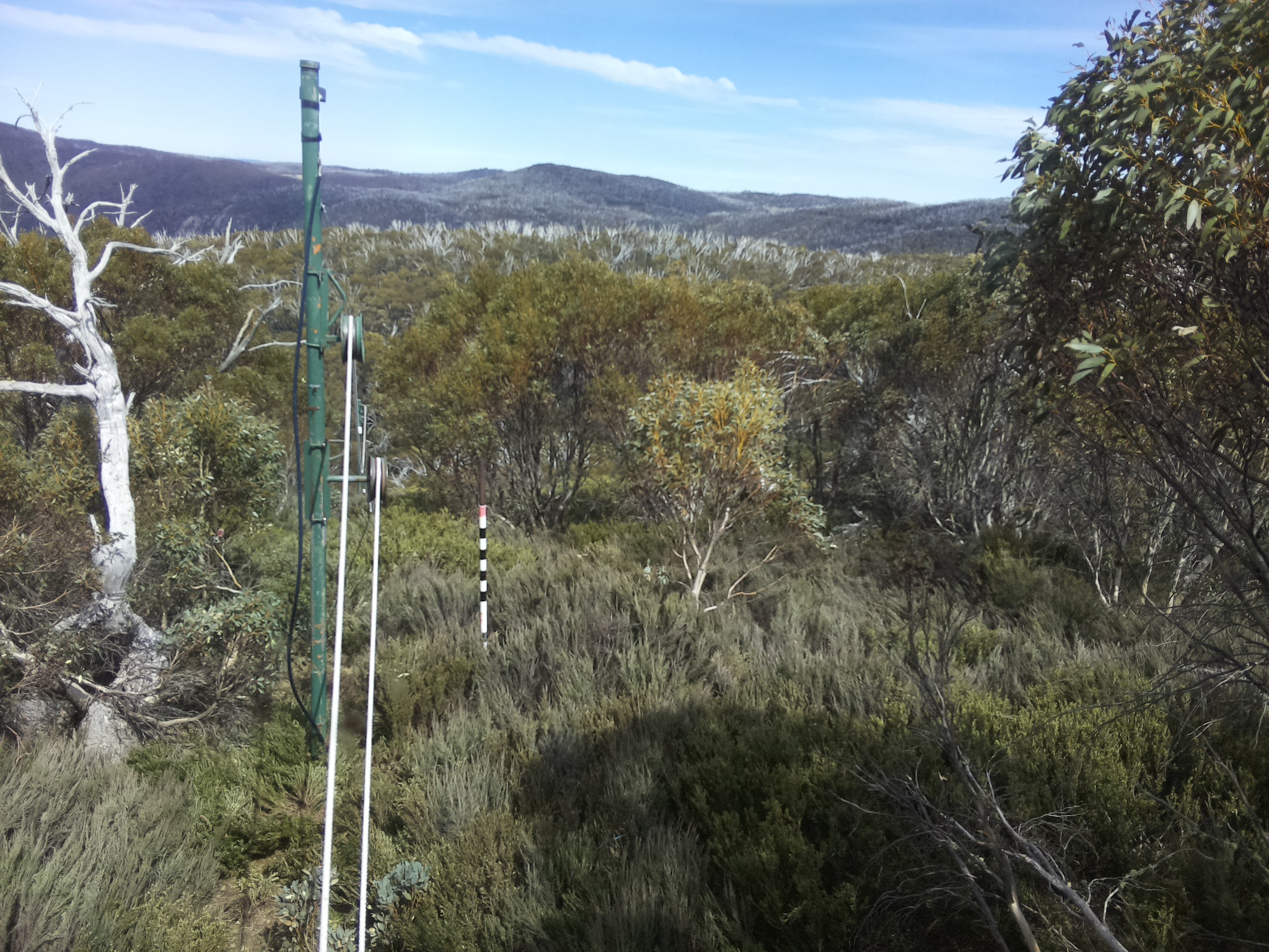 Bogong Web Cam 2:50pm Tuesday 21st of October 2025