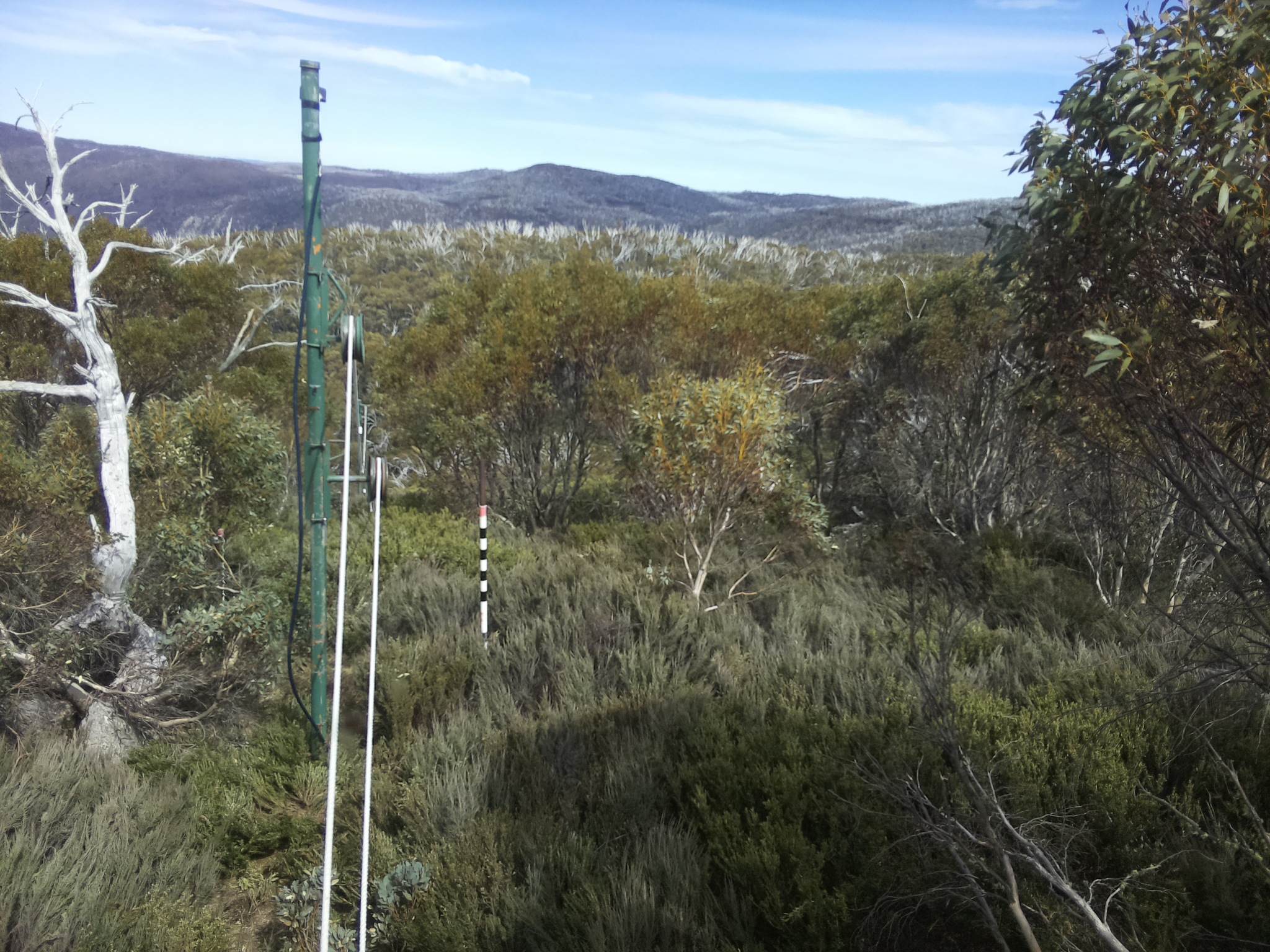 Bogong Web Cam 3:00pm Tuesday 21st of October 2025