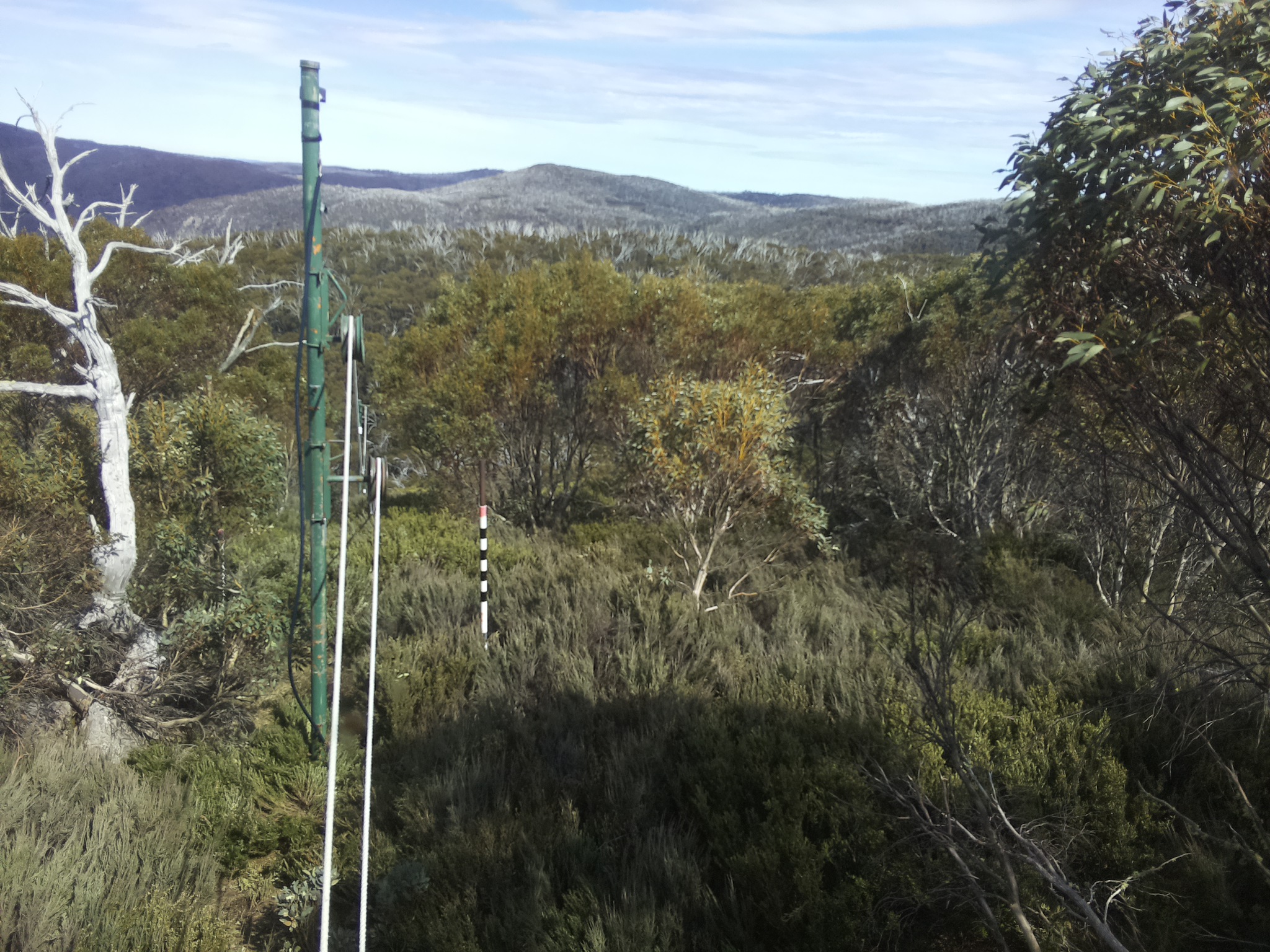 Bogong Web Cam 3:30pm Tuesday 21st of October 2025