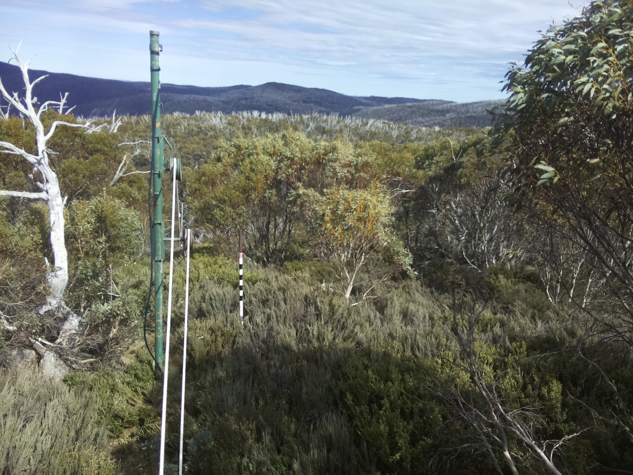 Bogong Web Cam 3:40pm Tuesday 21st of October 2025