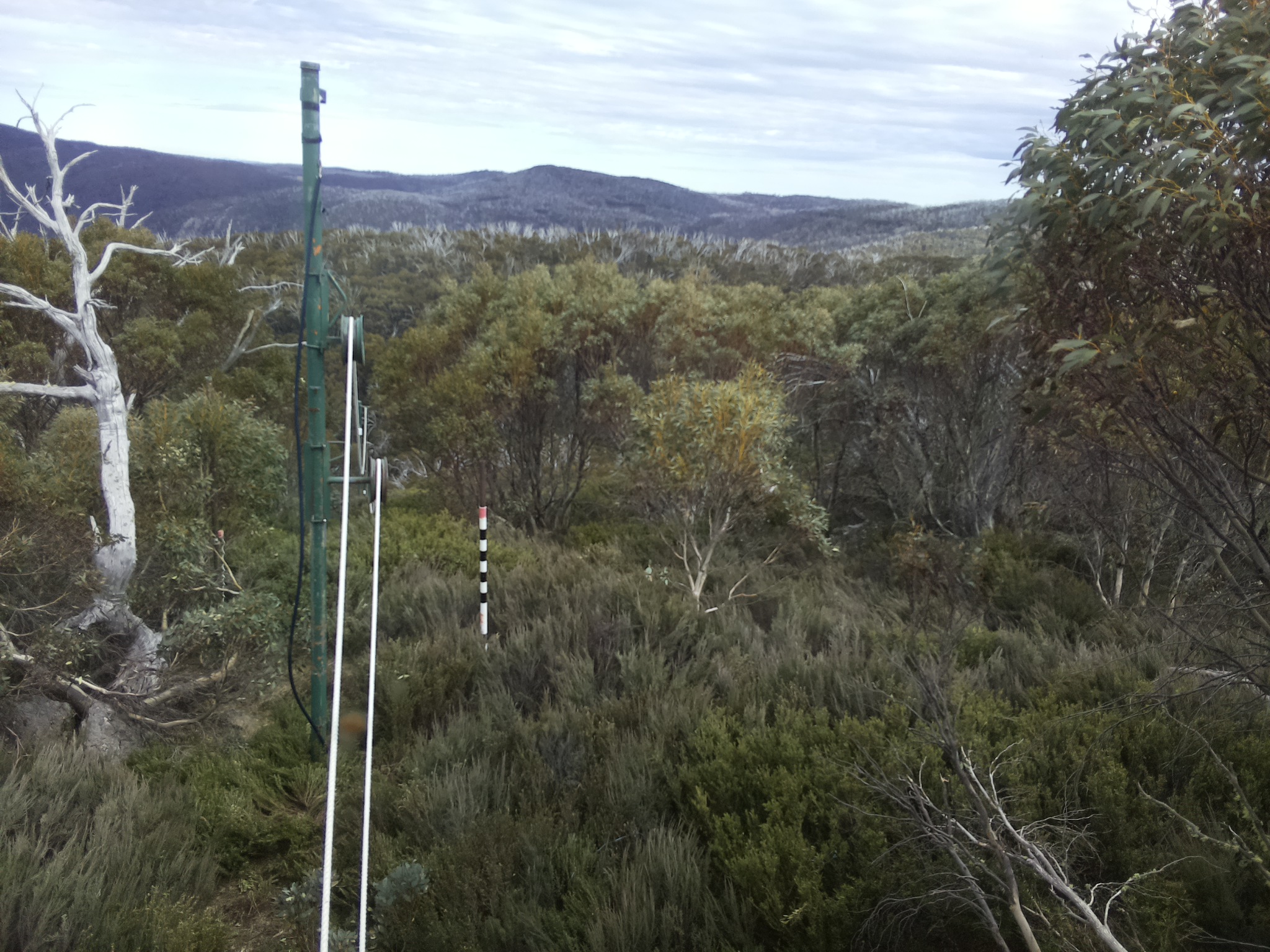 Bogong Web Cam 3:50pm Tuesday 21st of October 2025
