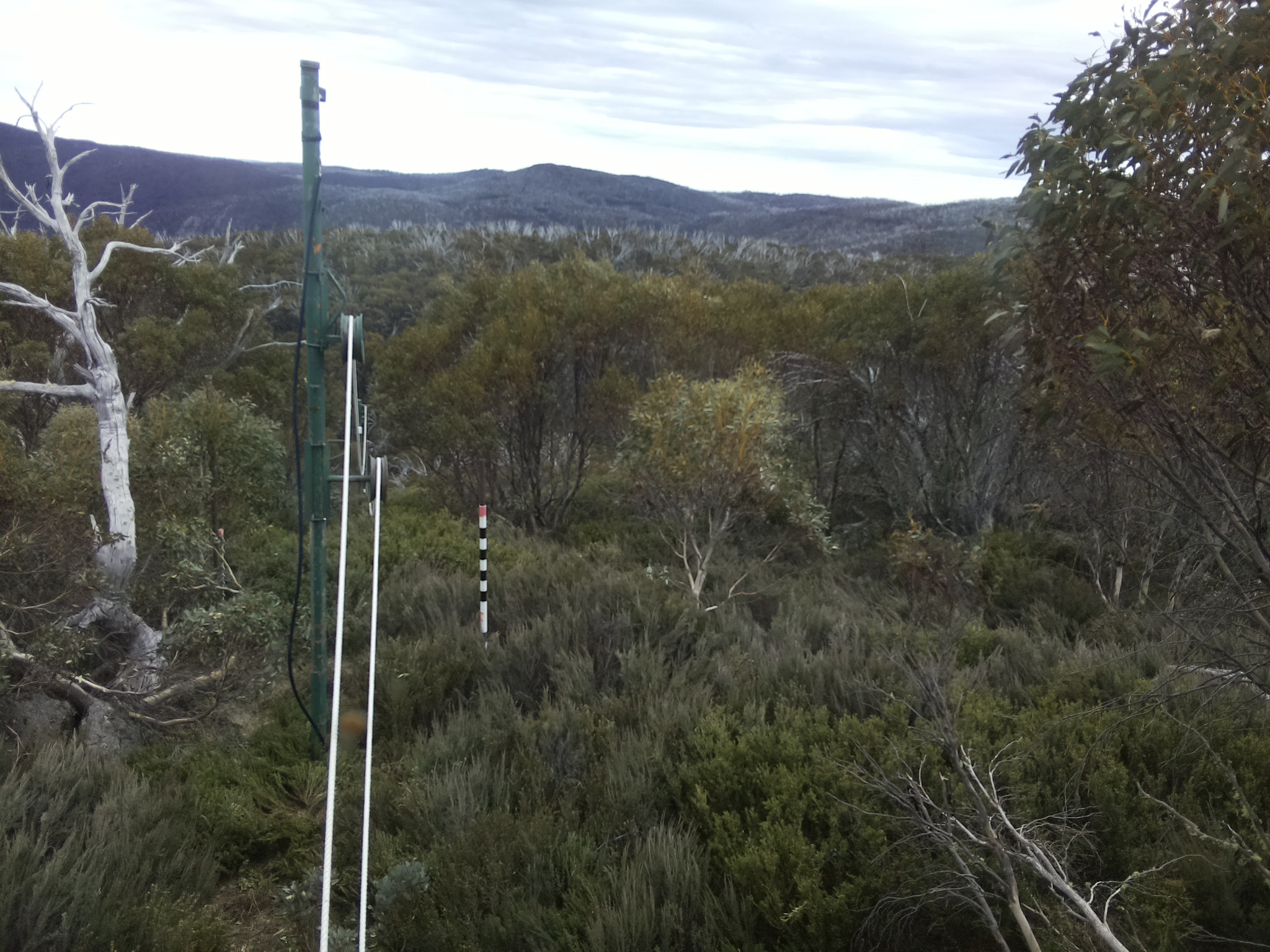 Bogong Web Cam 4:00pm Tuesday 21st of October 2025