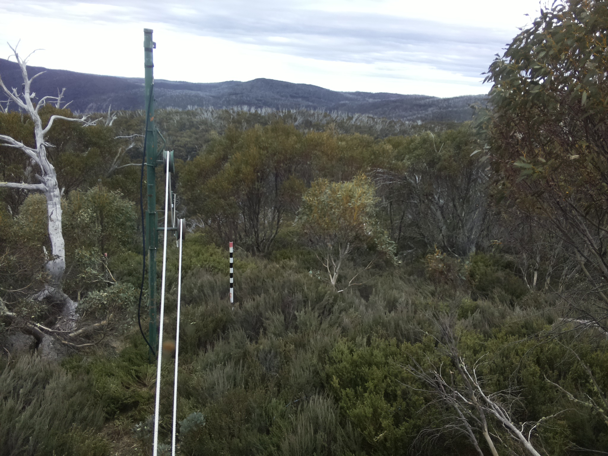 Bogong Web Cam 4:10pm Tuesday 21st of October 2025