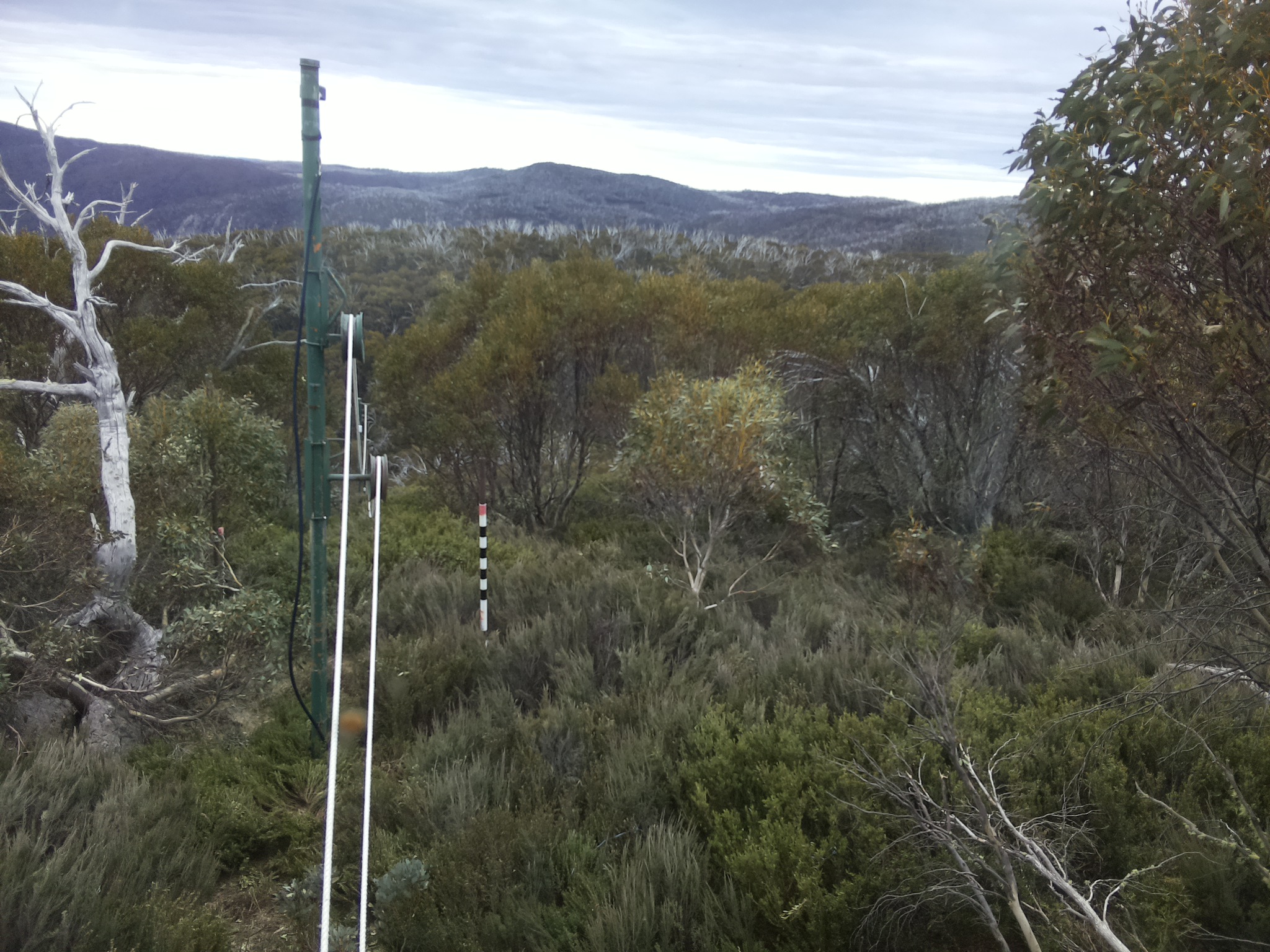 Bogong Web Cam 4:30pm Tuesday 21st of October 2025