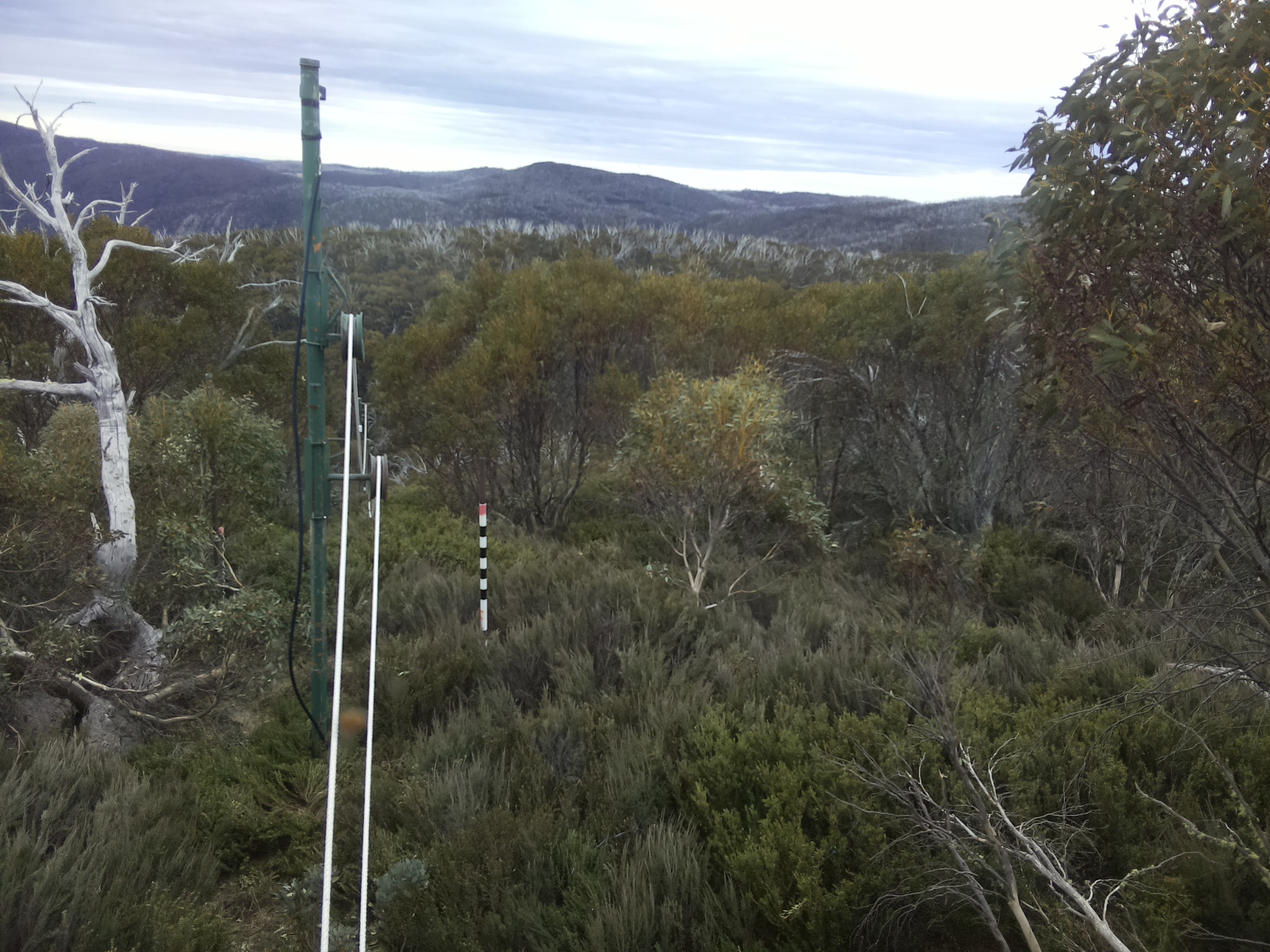 Bogong Web Cam 4:50pm Tuesday 21st of October 2025
