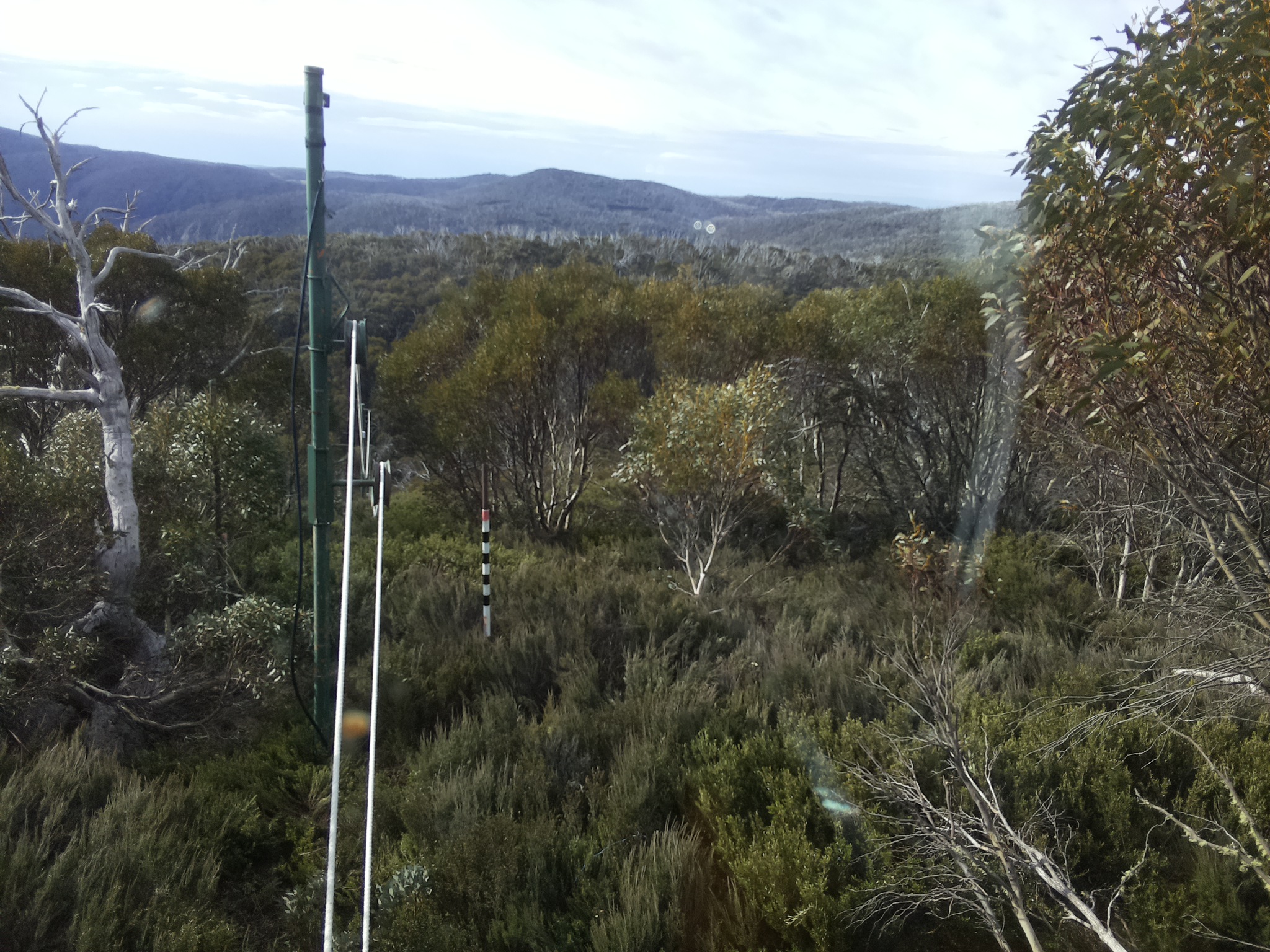 Bogong Web Cam 8:40am Wednesday 22nd of October 2025