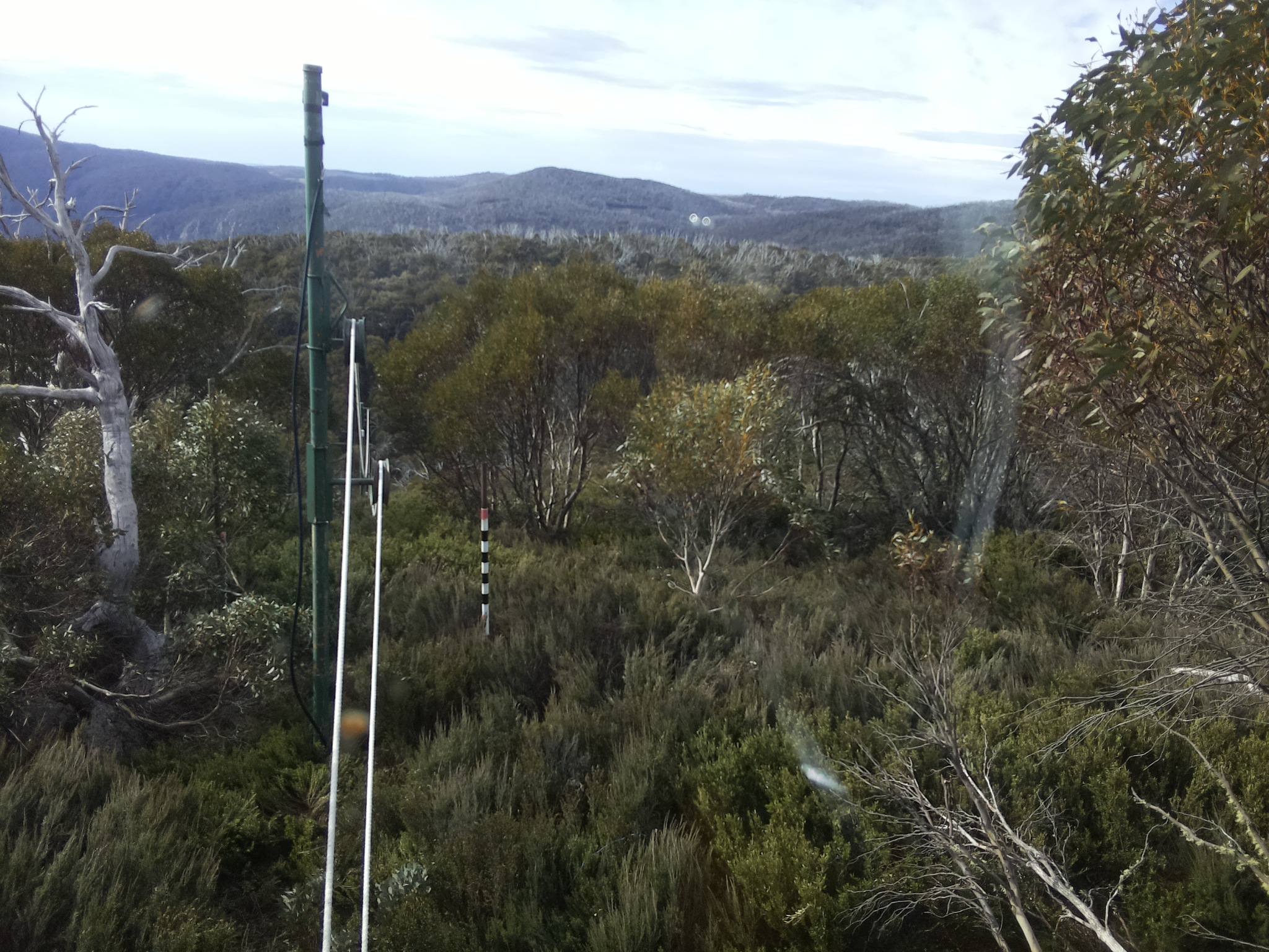 Bogong Web Cam 8:50am Wednesday 22nd of October 2025