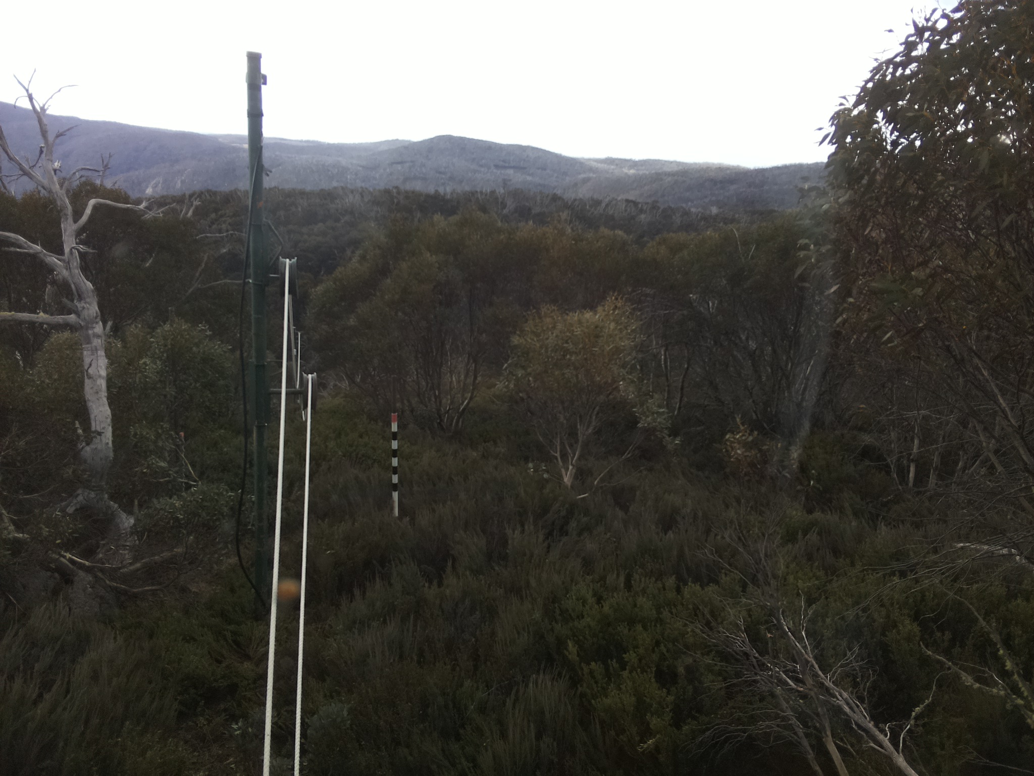 Bogong Web Cam 9:00am Wednesday 22nd of October 2025