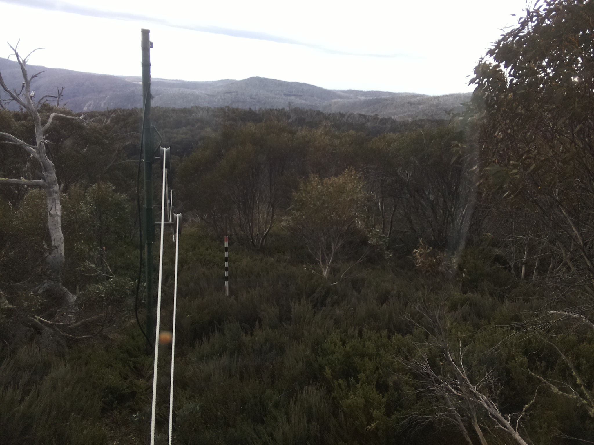 Bogong Web Cam 9:10am Wednesday 22nd of October 2025