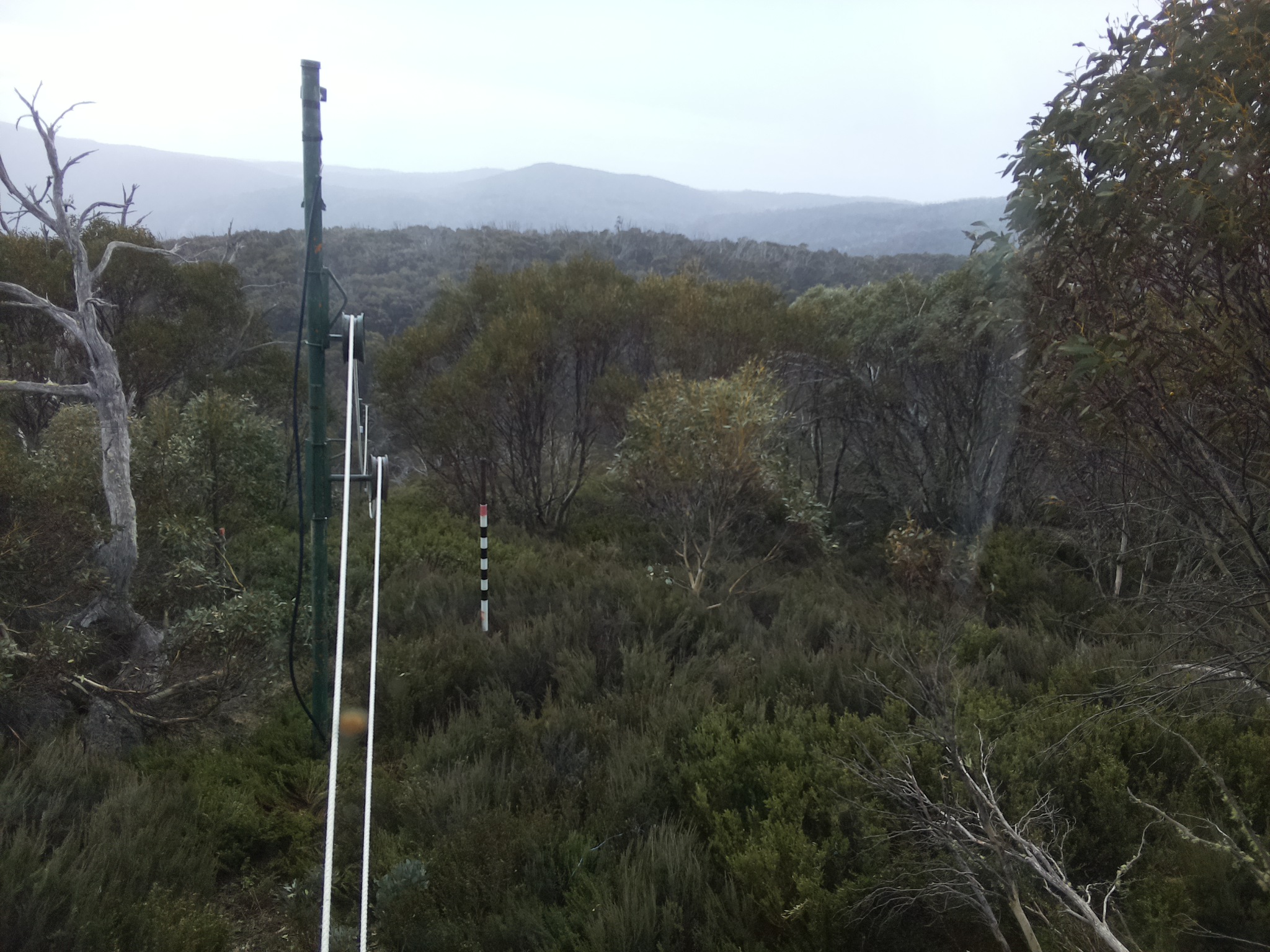 Bogong Web Cam 9:20am Wednesday 22nd of October 2025