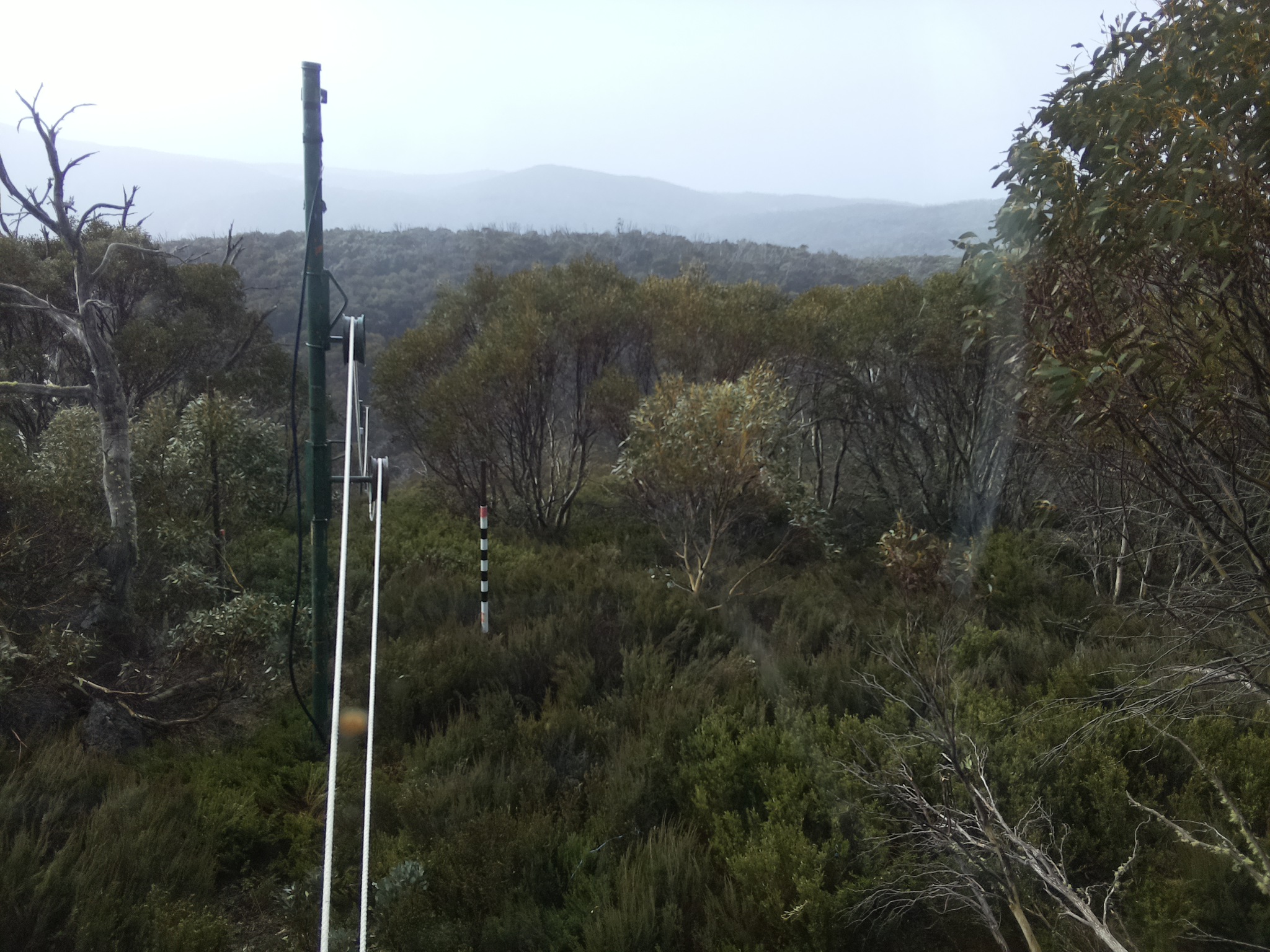 Bogong Web Cam 9:30am Wednesday 22nd of October 2025