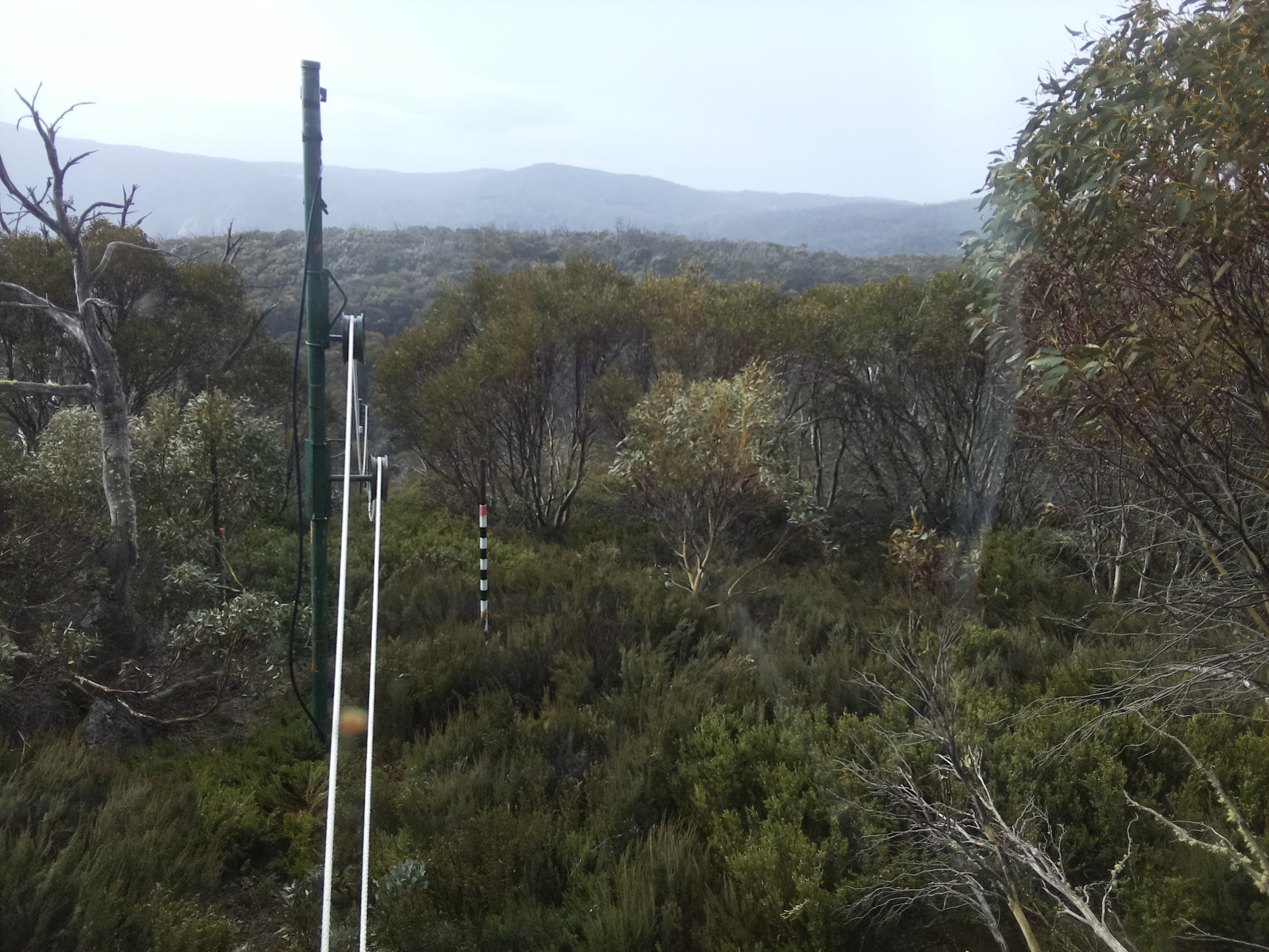 Bogong Web Cam 9:40am Wednesday 22nd of October 2025
