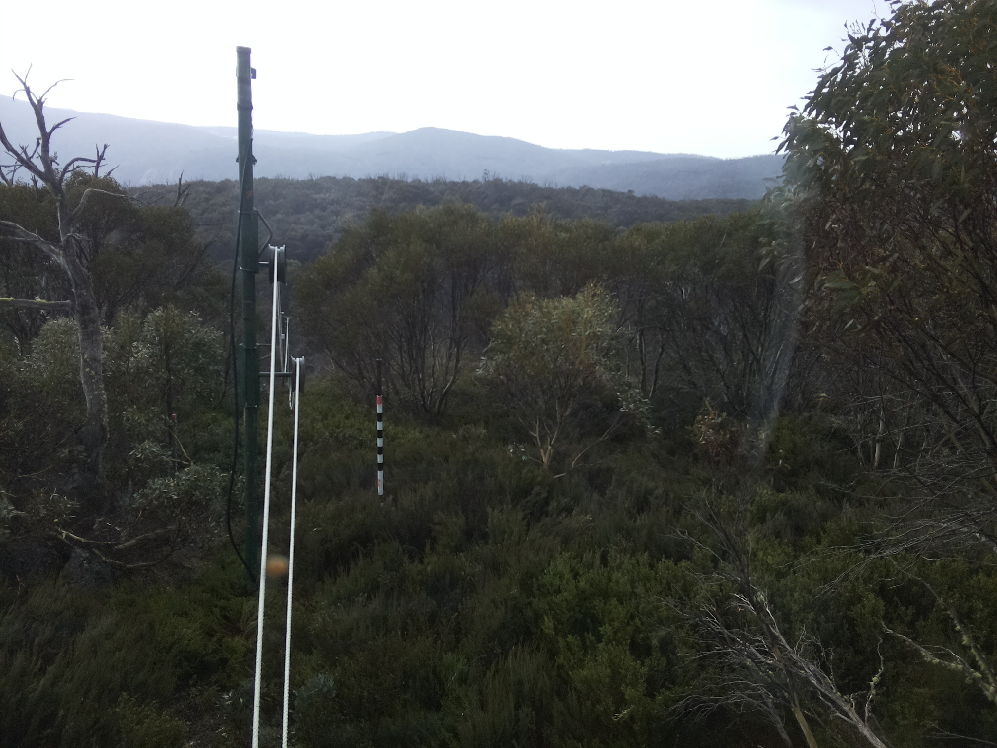 Bogong Web Cam 10:00am Wednesday 22nd of October 2025
