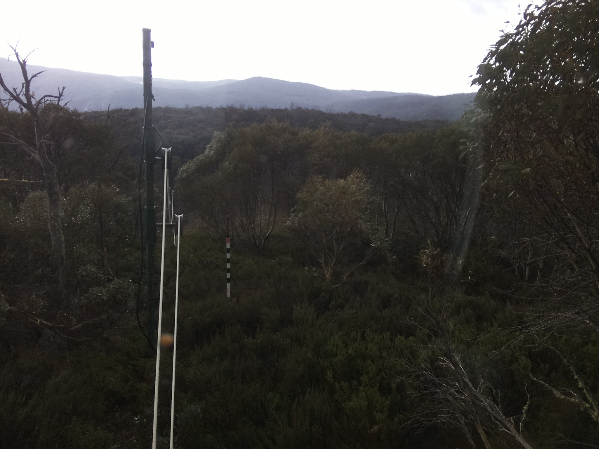 Bogong Web Cam 10:10am Wednesday 22nd of October 2025