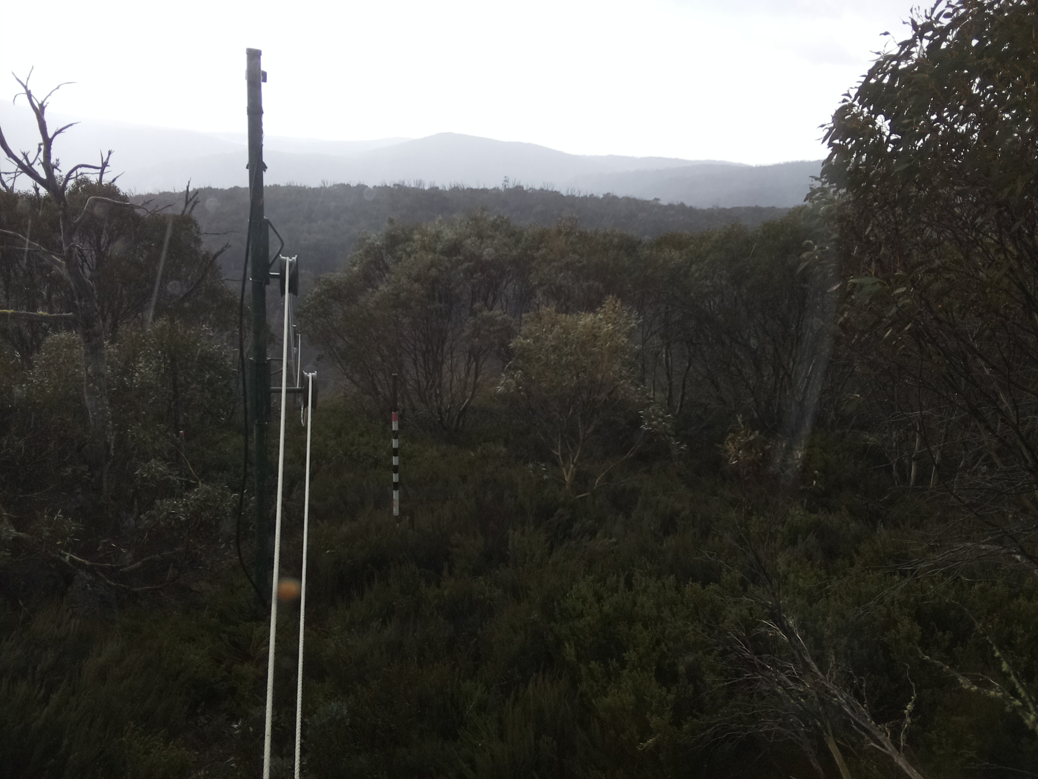 Bogong Web Cam 10:20am Wednesday 22nd of October 2025