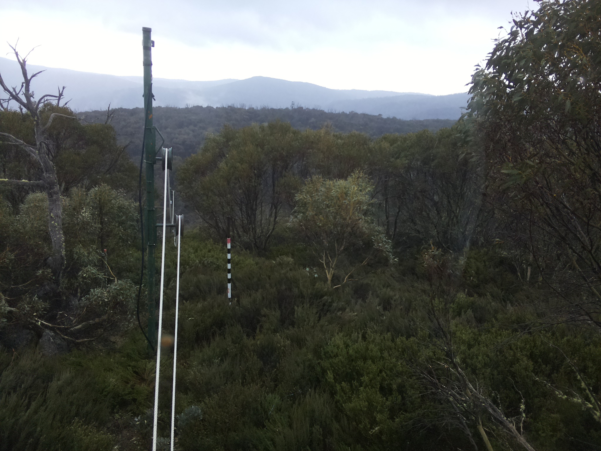 Bogong Web Cam 11:10am Wednesday 22nd of October 2025