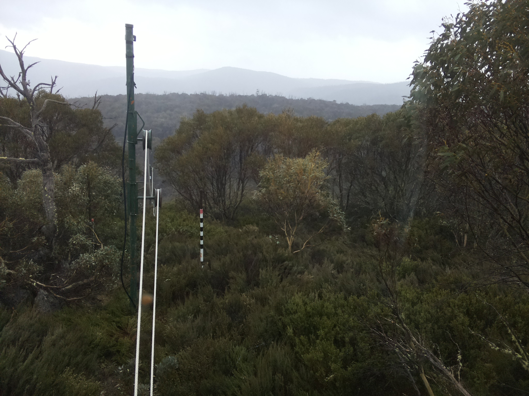 Bogong Web Cam 11:20am Wednesday 22nd of October 2025