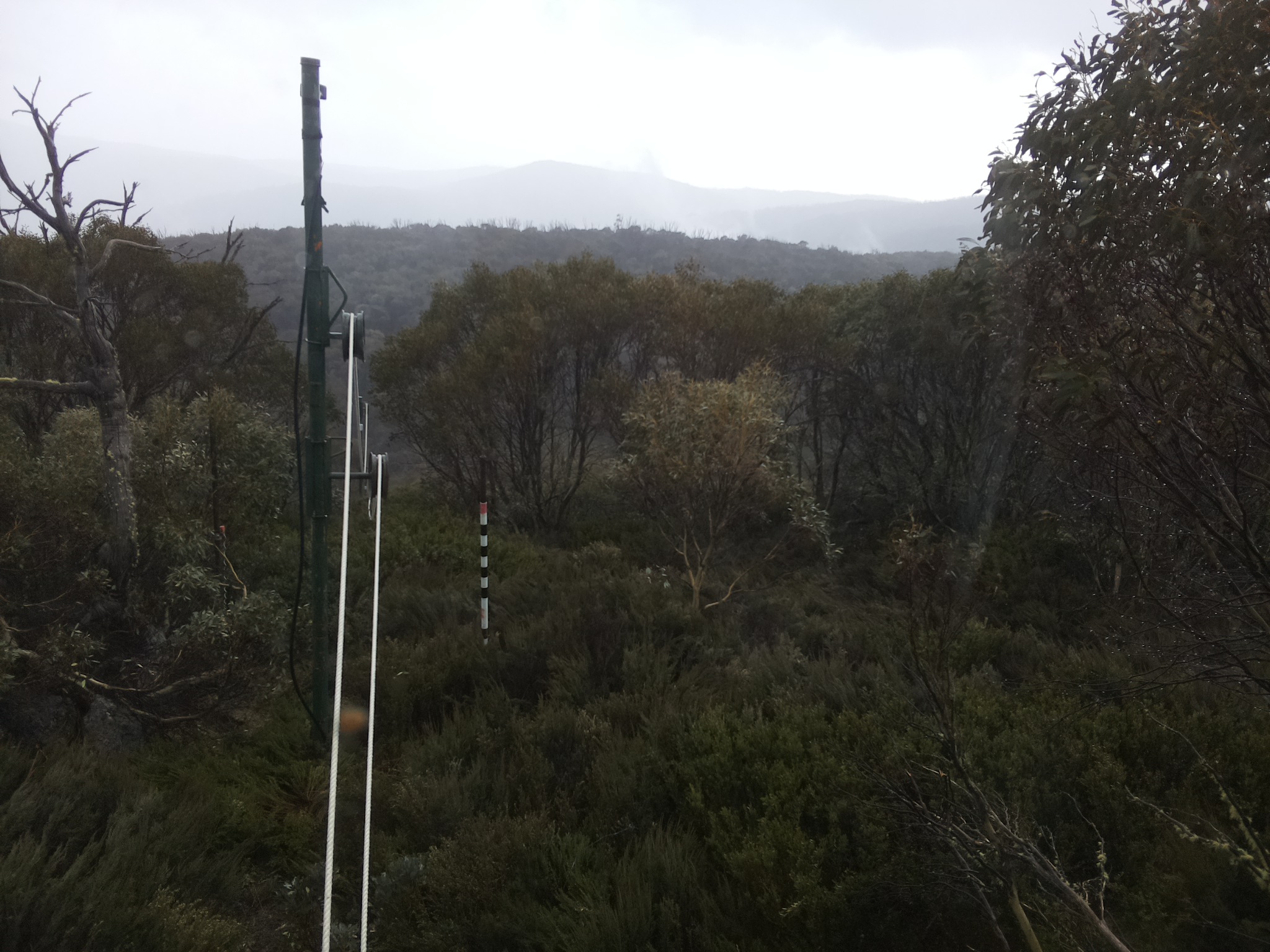 Bogong Web Cam 11:30am Wednesday 22nd of October 2025