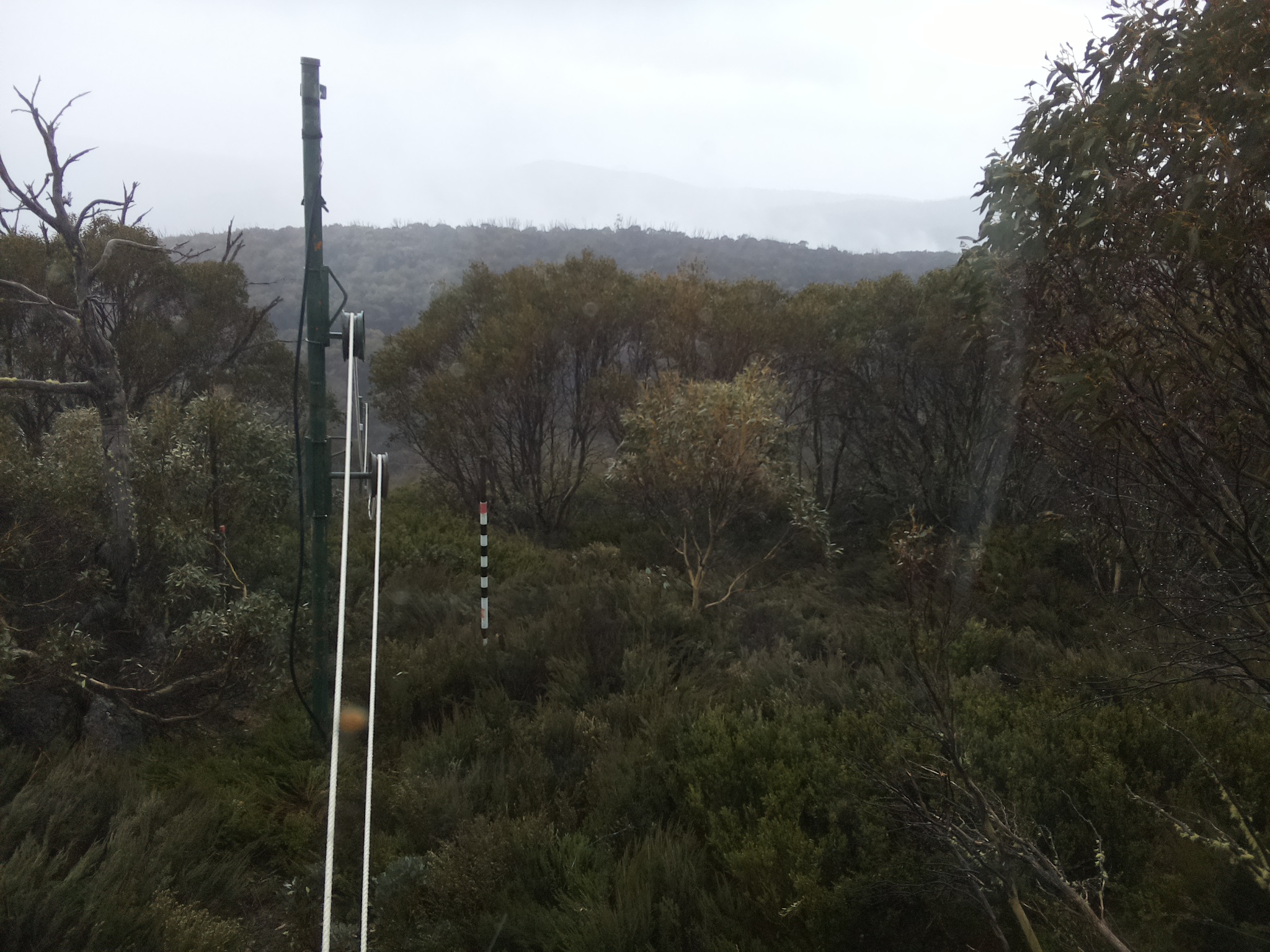Bogong Web Cam 11:40am Wednesday 22nd of October 2025