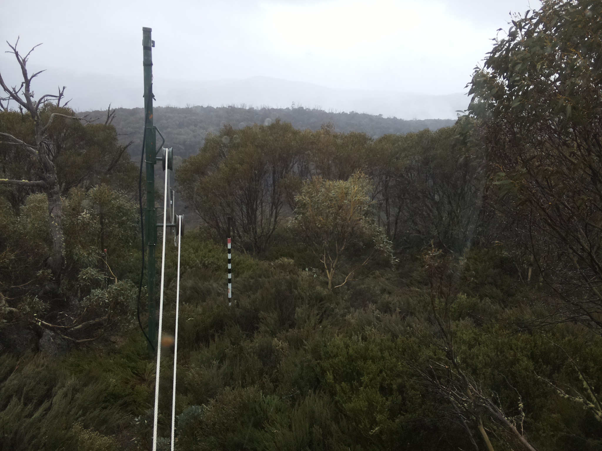 Bogong Web Cam 11:50am Wednesday 22nd of October 2025