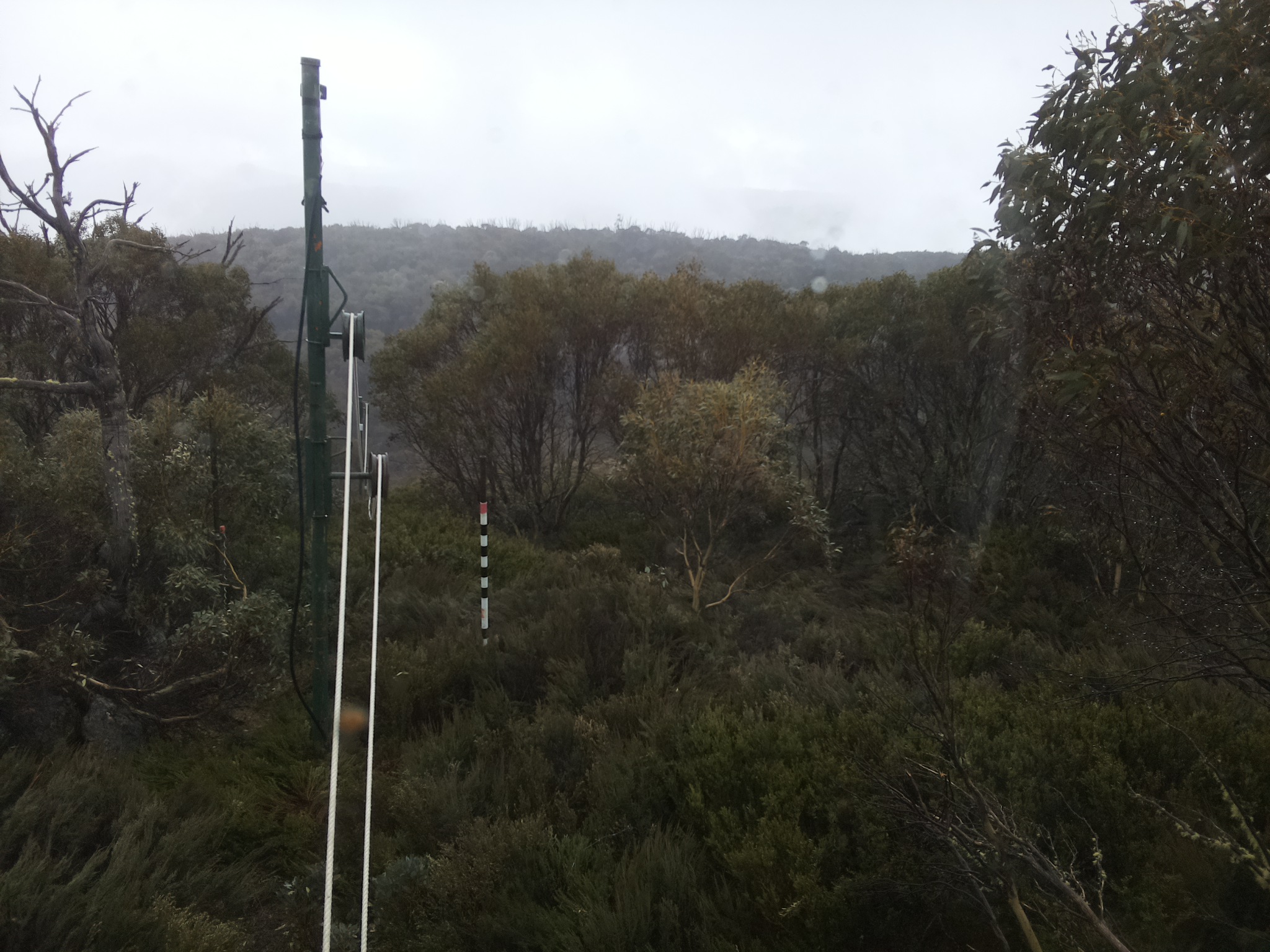 Bogong Web Cam 12:00pm Wednesday 22nd of October 2025