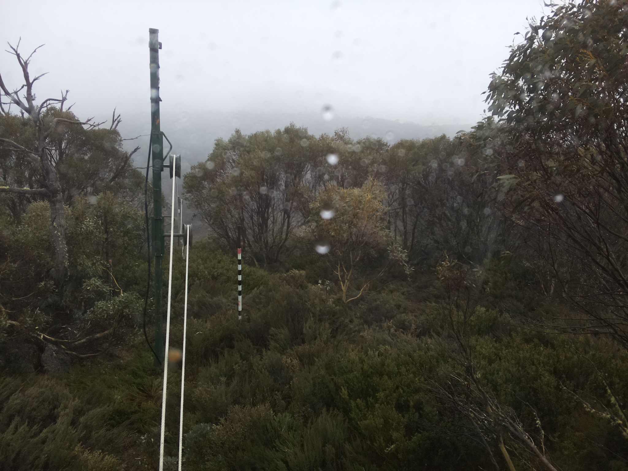 Bogong Web Cam 3:00pm Wednesday 22nd of October 2025