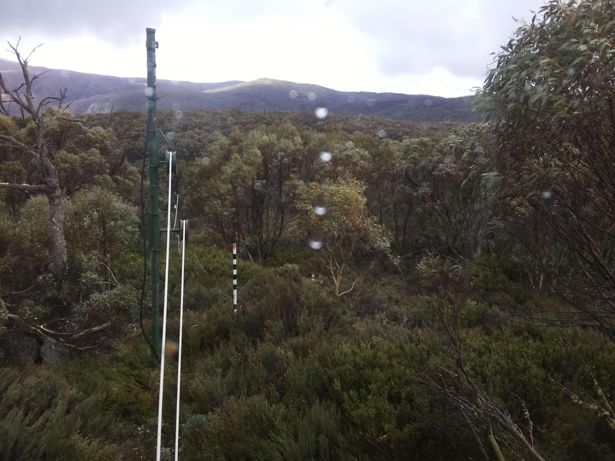 Bogong Web Cam 3:10pm Wednesday 22nd of October 2025