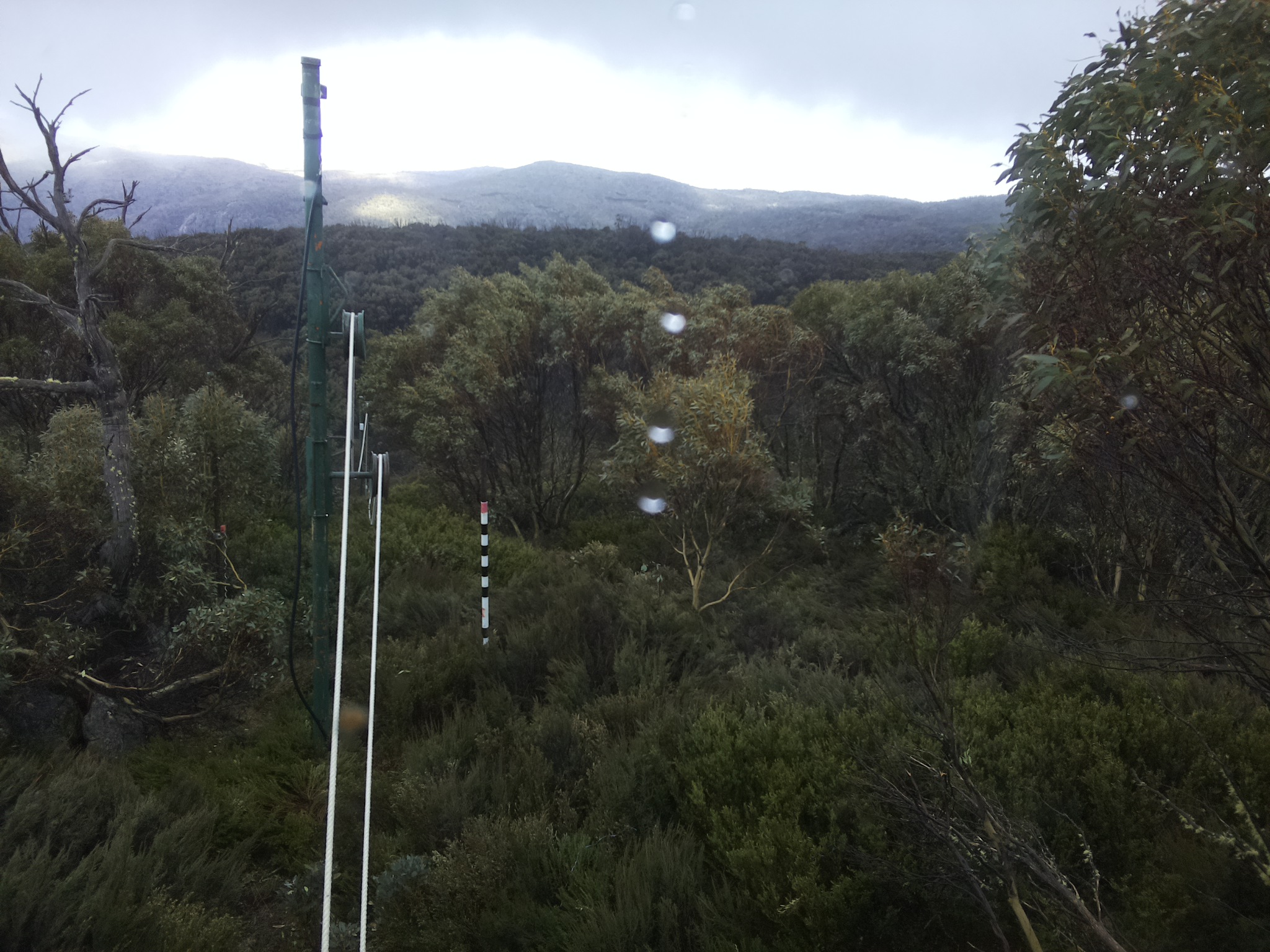 Bogong Web Cam 3:20pm Wednesday 22nd of October 2025