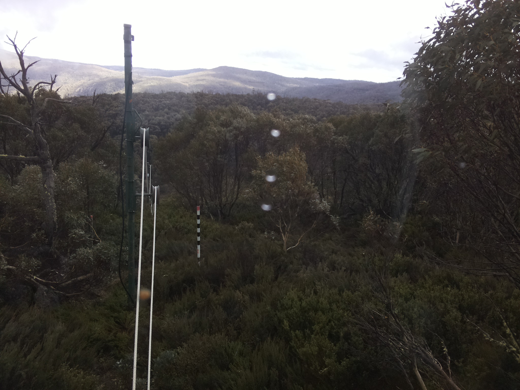 Bogong Web Cam 4:00pm Wednesday 22nd of October 2025