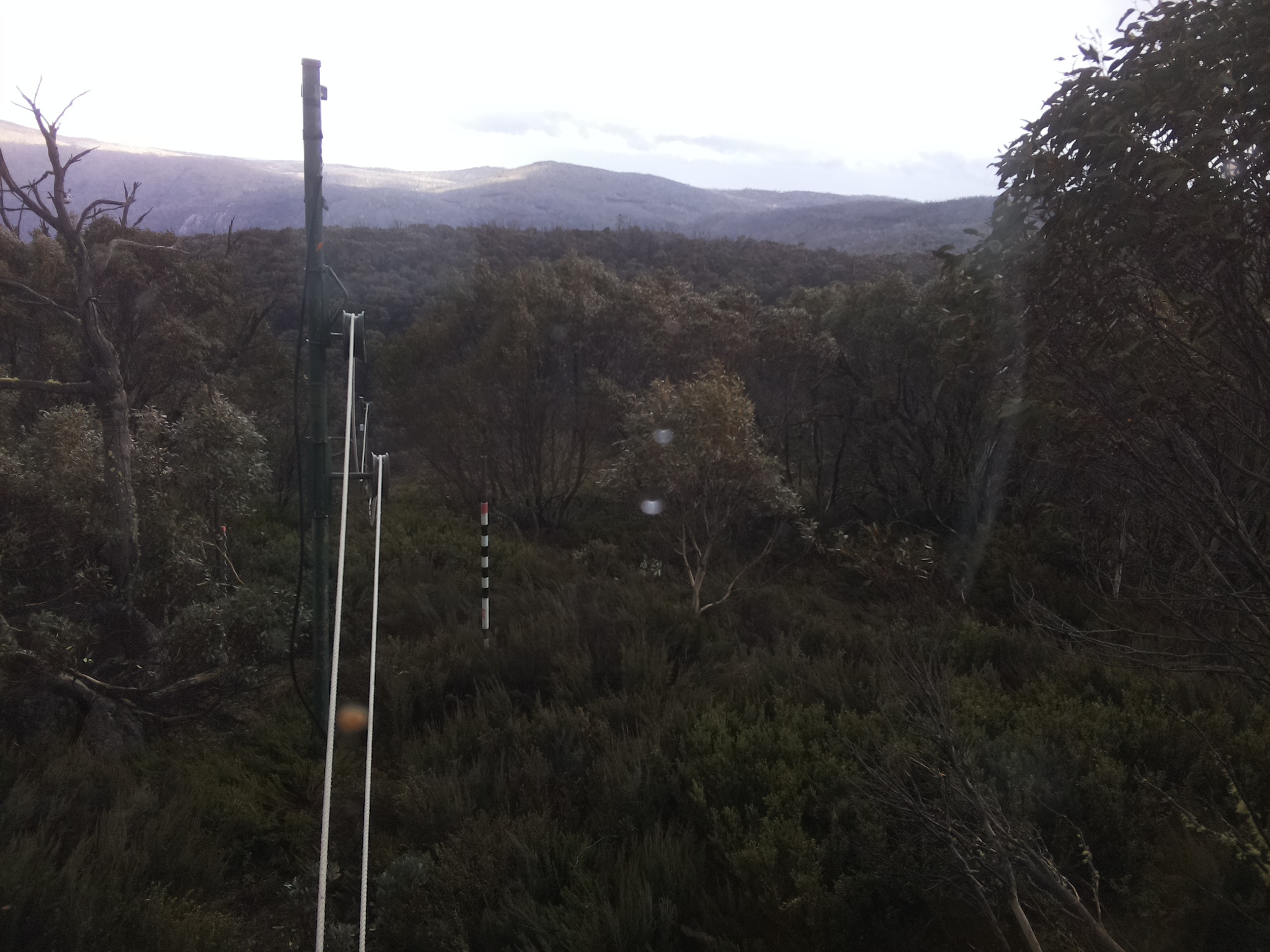 Bogong Web Cam 4:50pm Wednesday 22nd of October 2025
