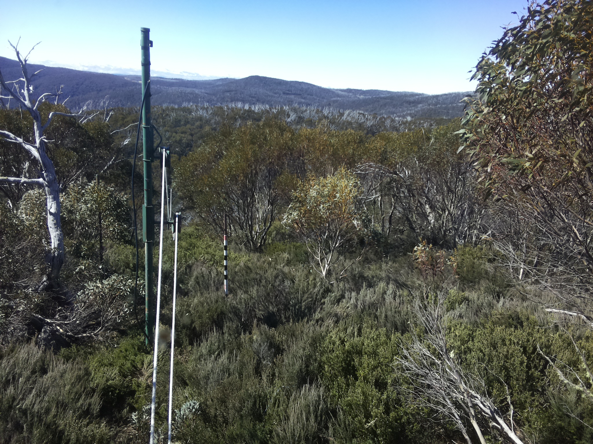Bogong Web Cam 10:20am Thursday 23rd of October 2025