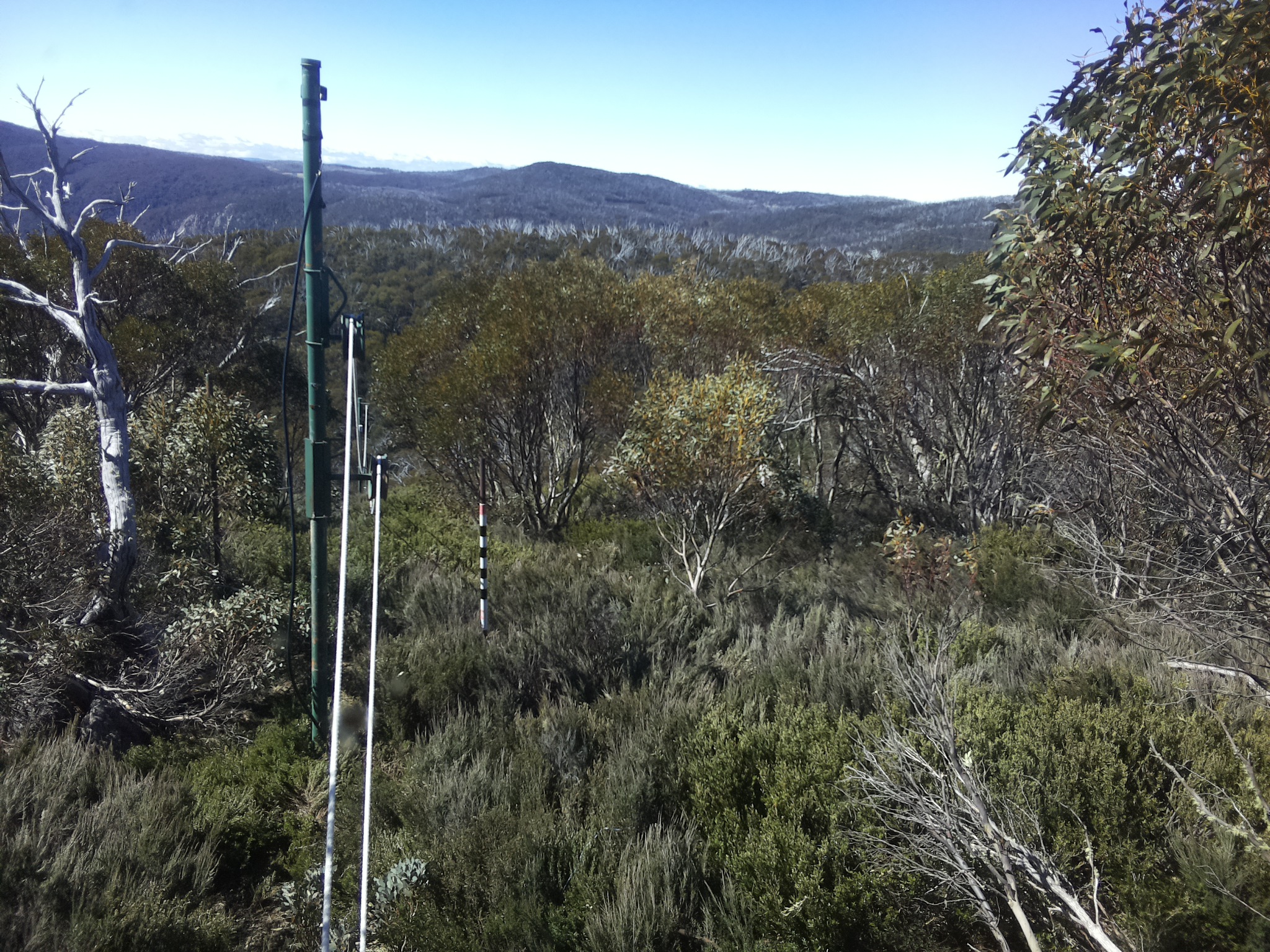 Bogong Web Cam 10:30am Thursday 23rd of October 2025