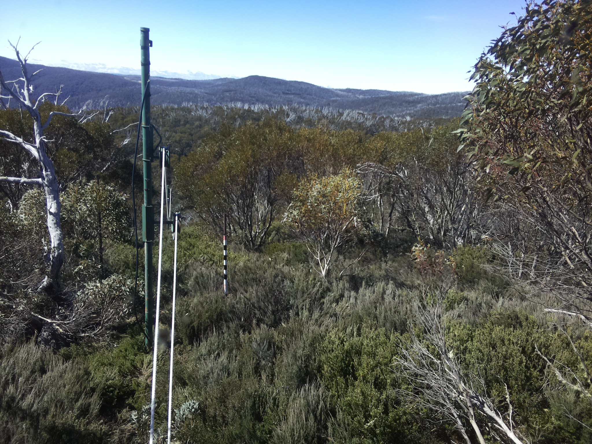 Bogong Web Cam 10:40am Thursday 23rd of October 2025