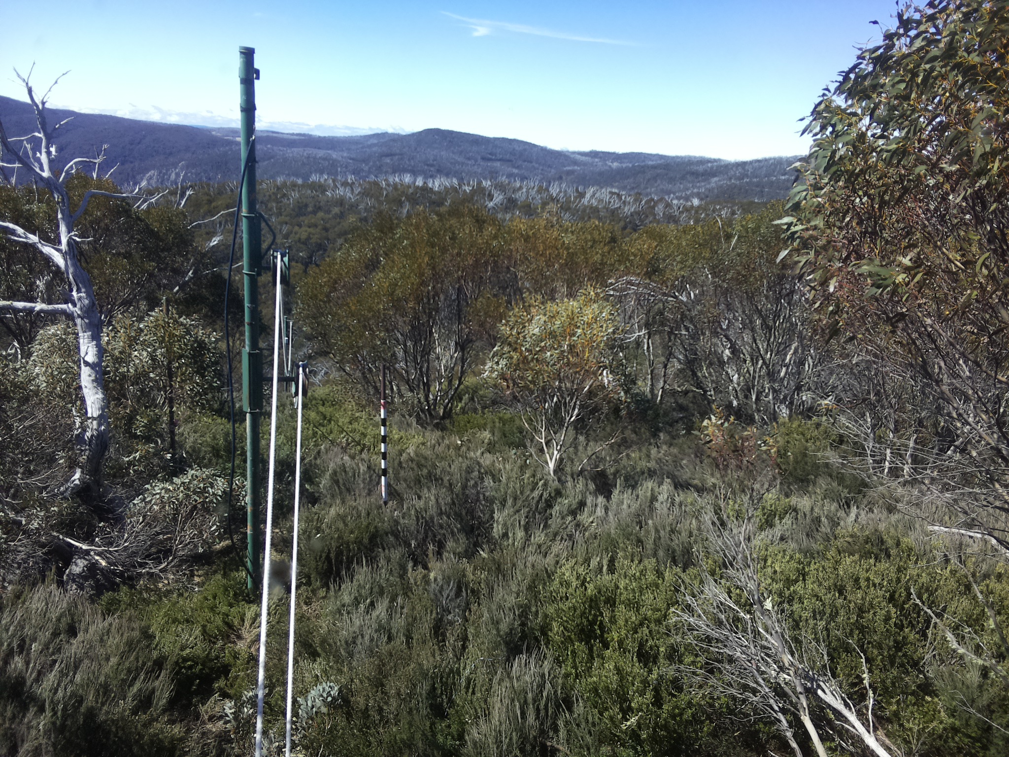 Bogong Web Cam 10:50am Thursday 23rd of October 2025
