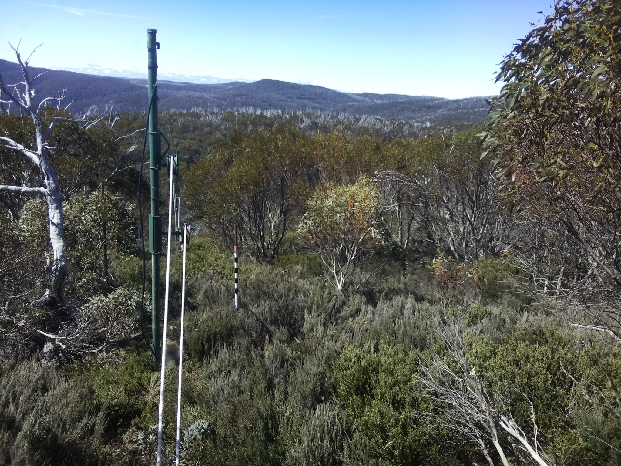 Bogong Web Cam 11:00am Thursday 23rd of October 2025